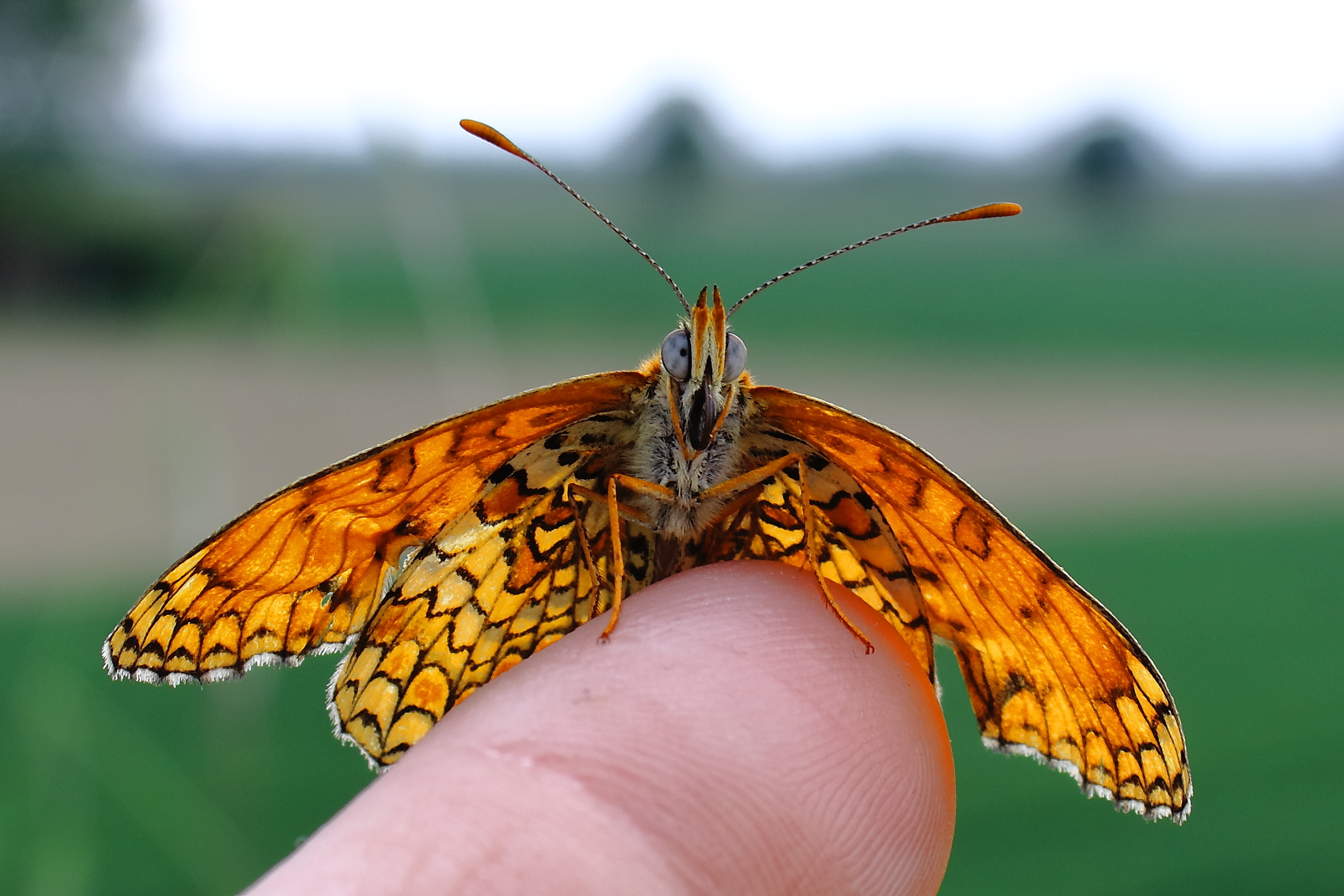 We establish contact