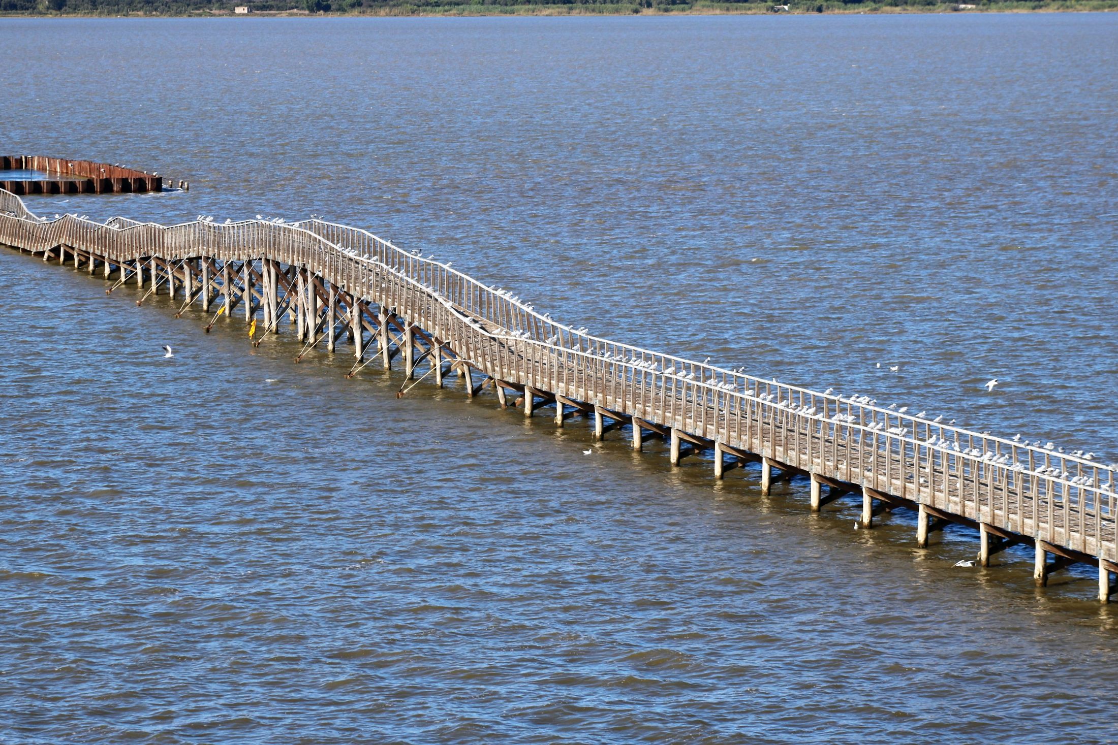 Il ponte di Lesina