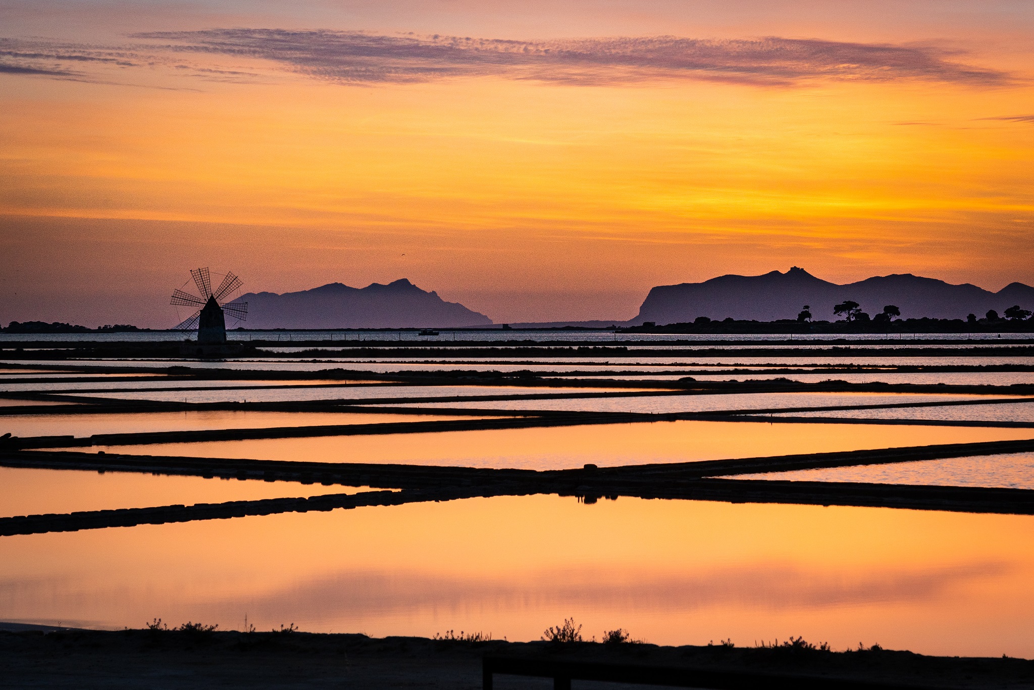 Golden salt pans