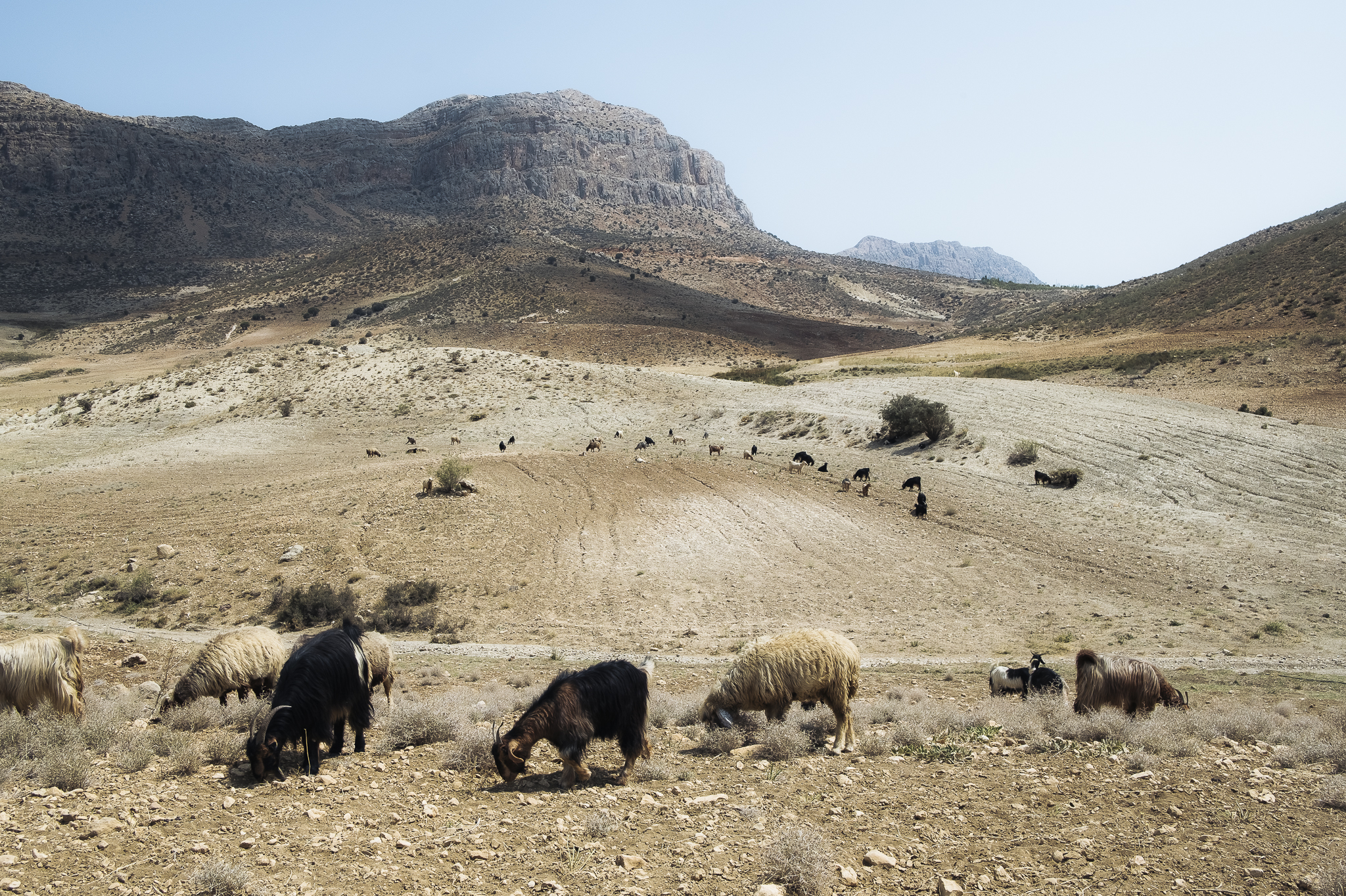 Monti Zagros Iran