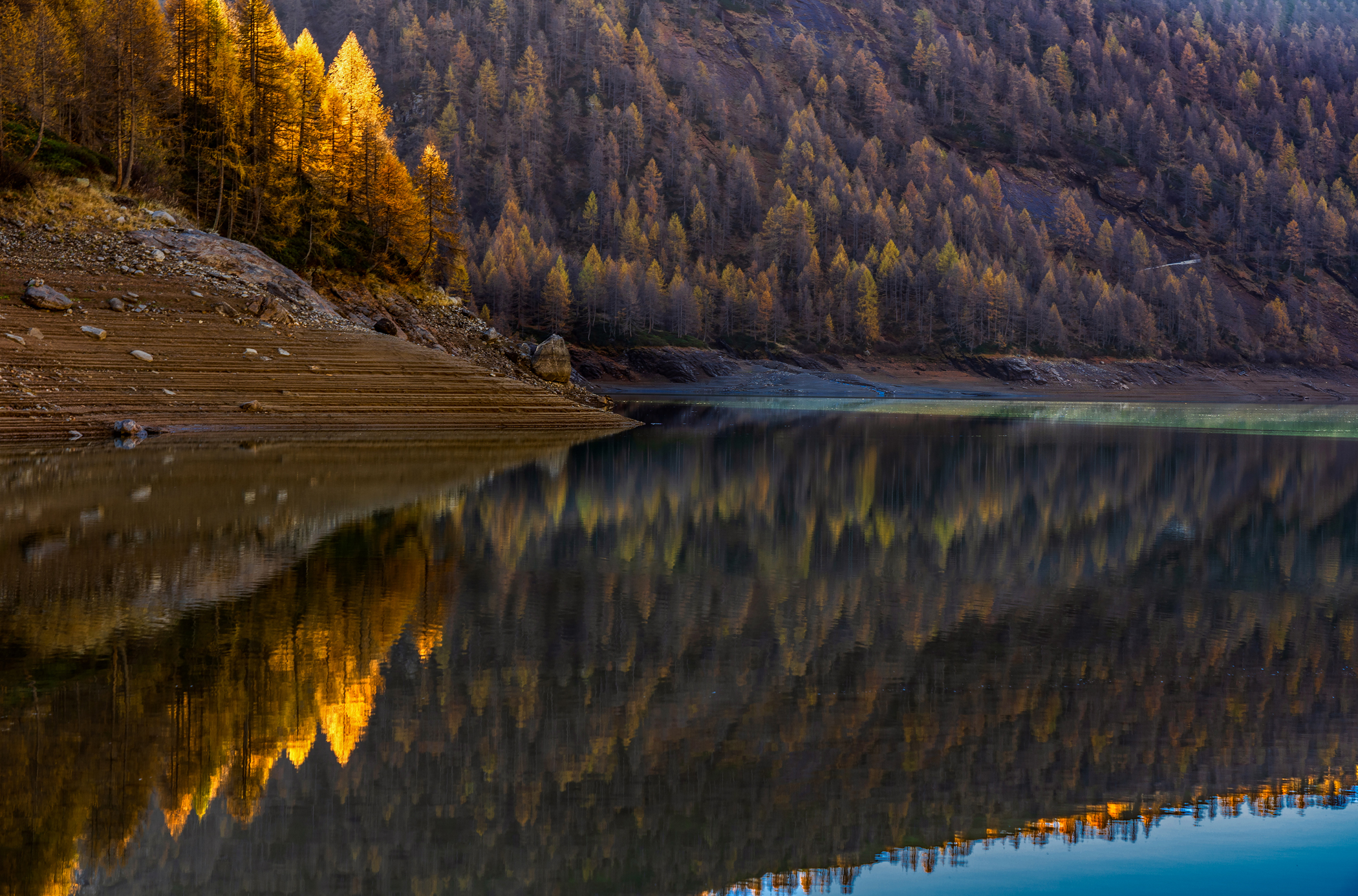 Untitled Photo