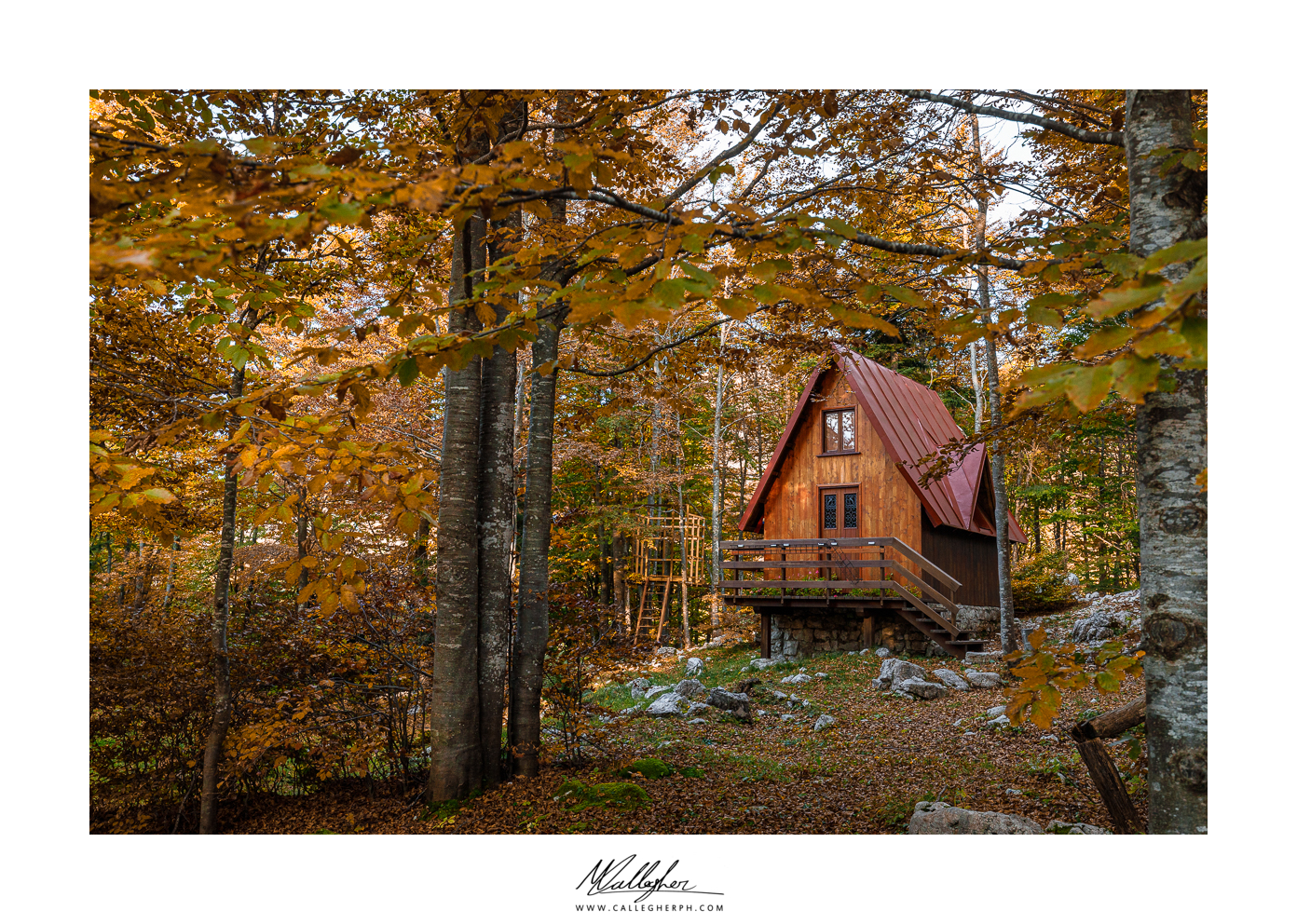 Immersi nell'autunno