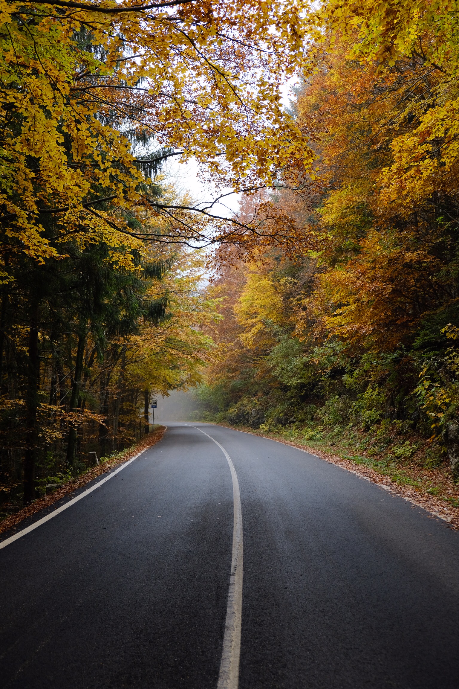 Parco Naturale della Lessinia in Autunno