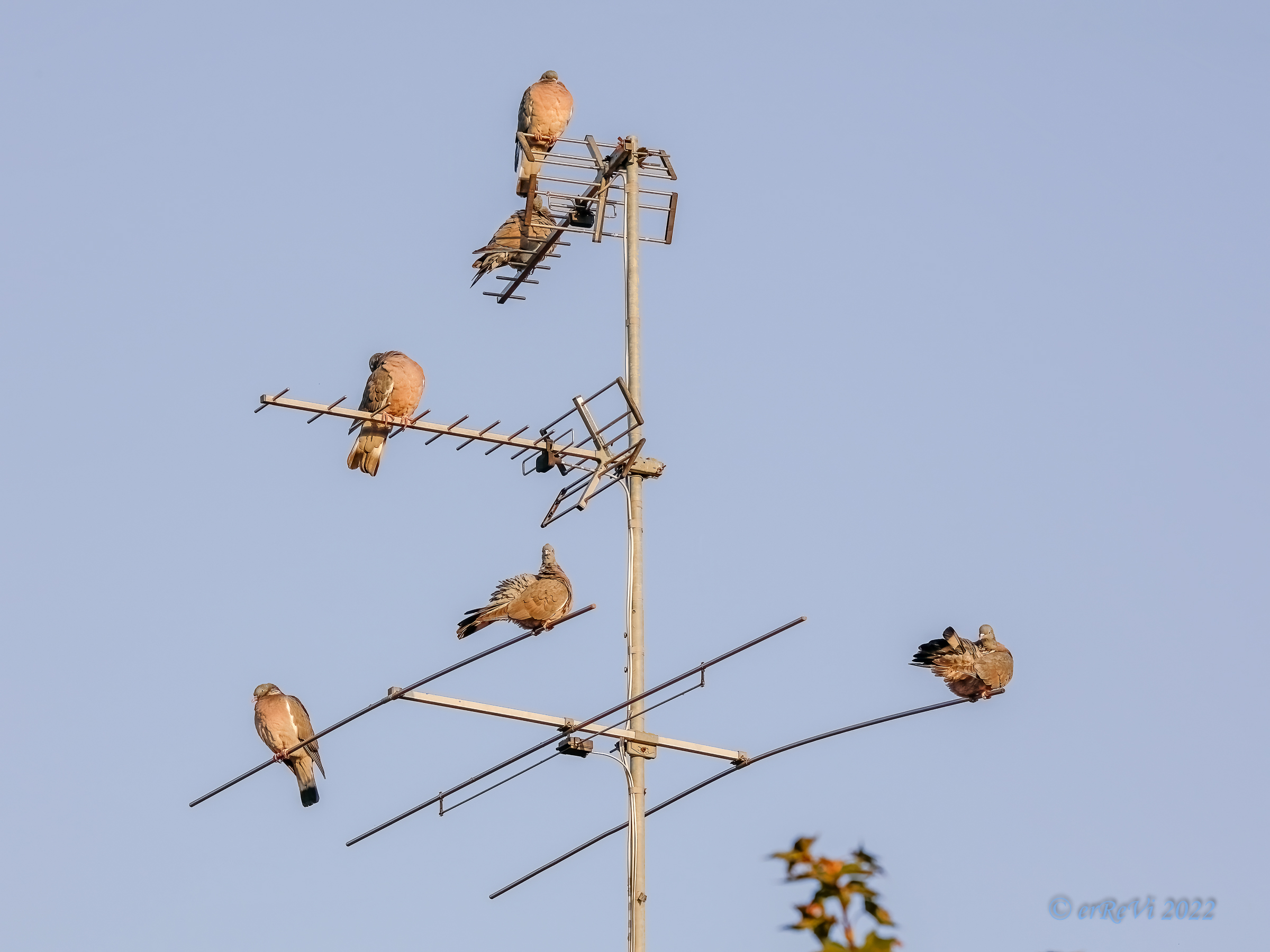 The usual condominium meeting