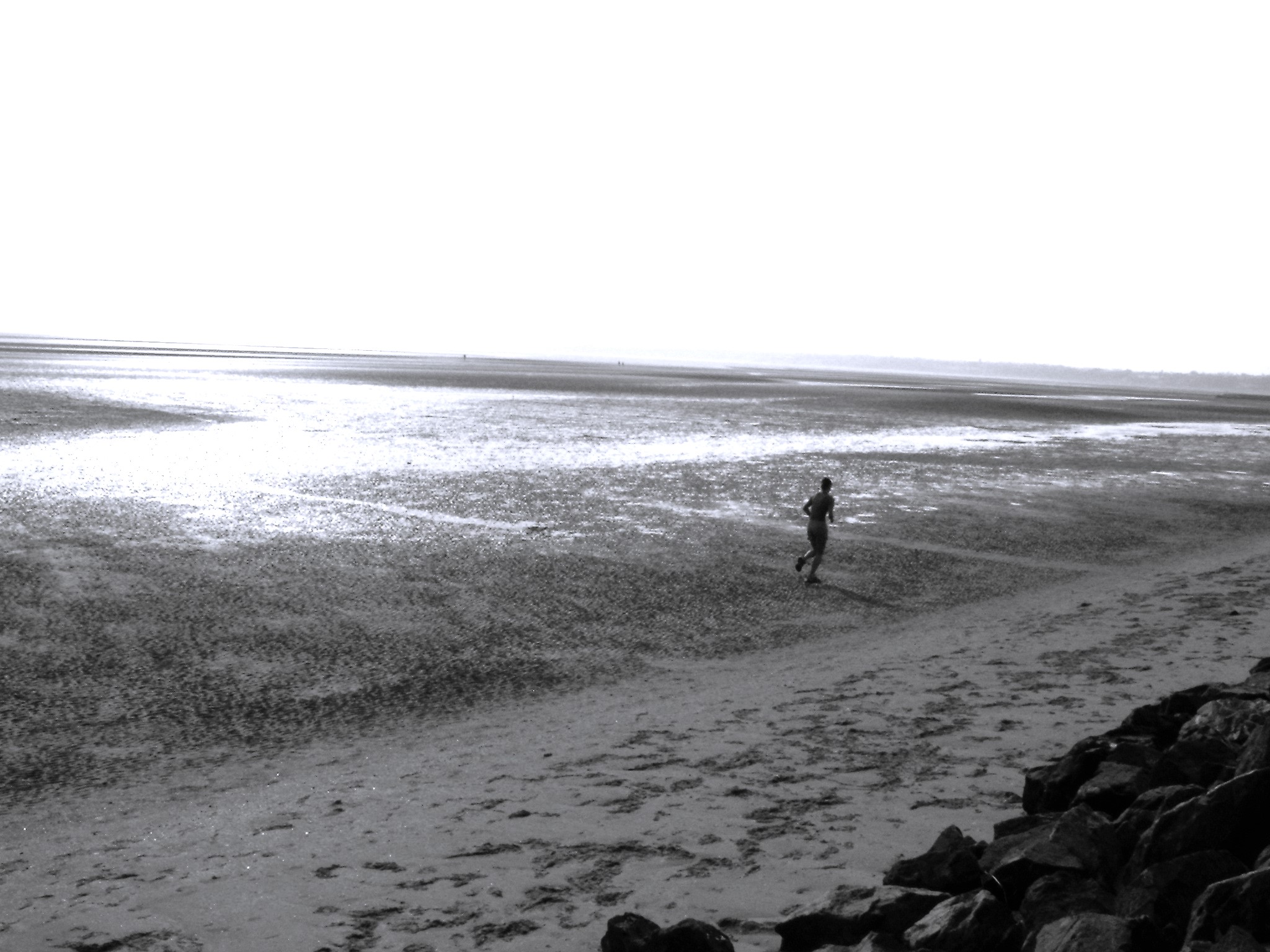 Bassa marea a Sandymount