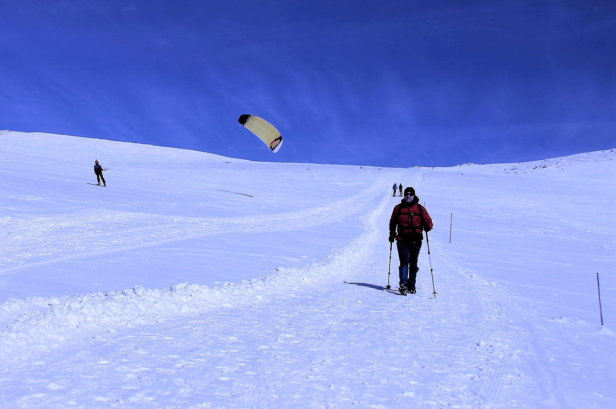 Chi spinge e chi si fa trainare