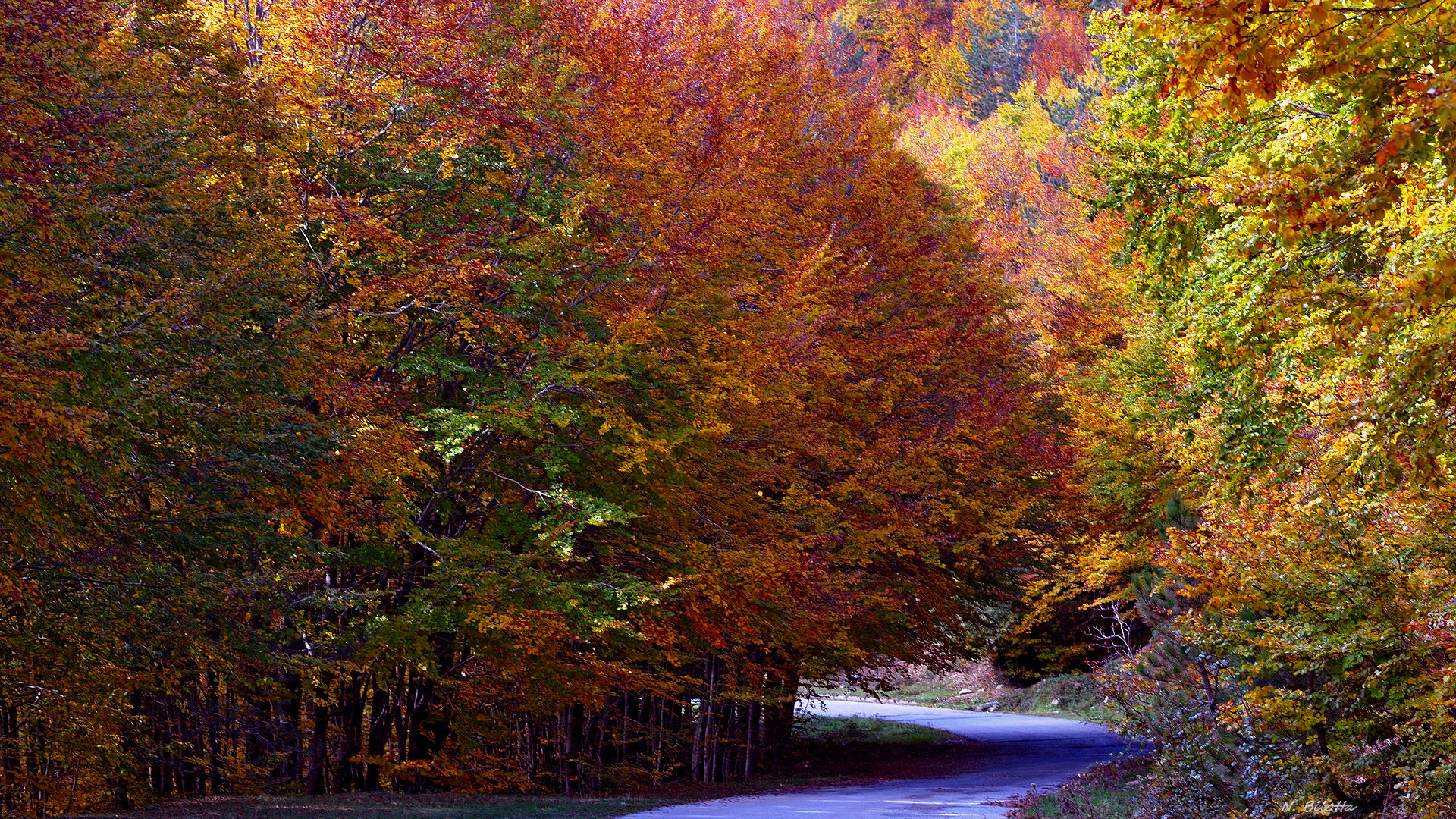 Autunno in Sila 1
