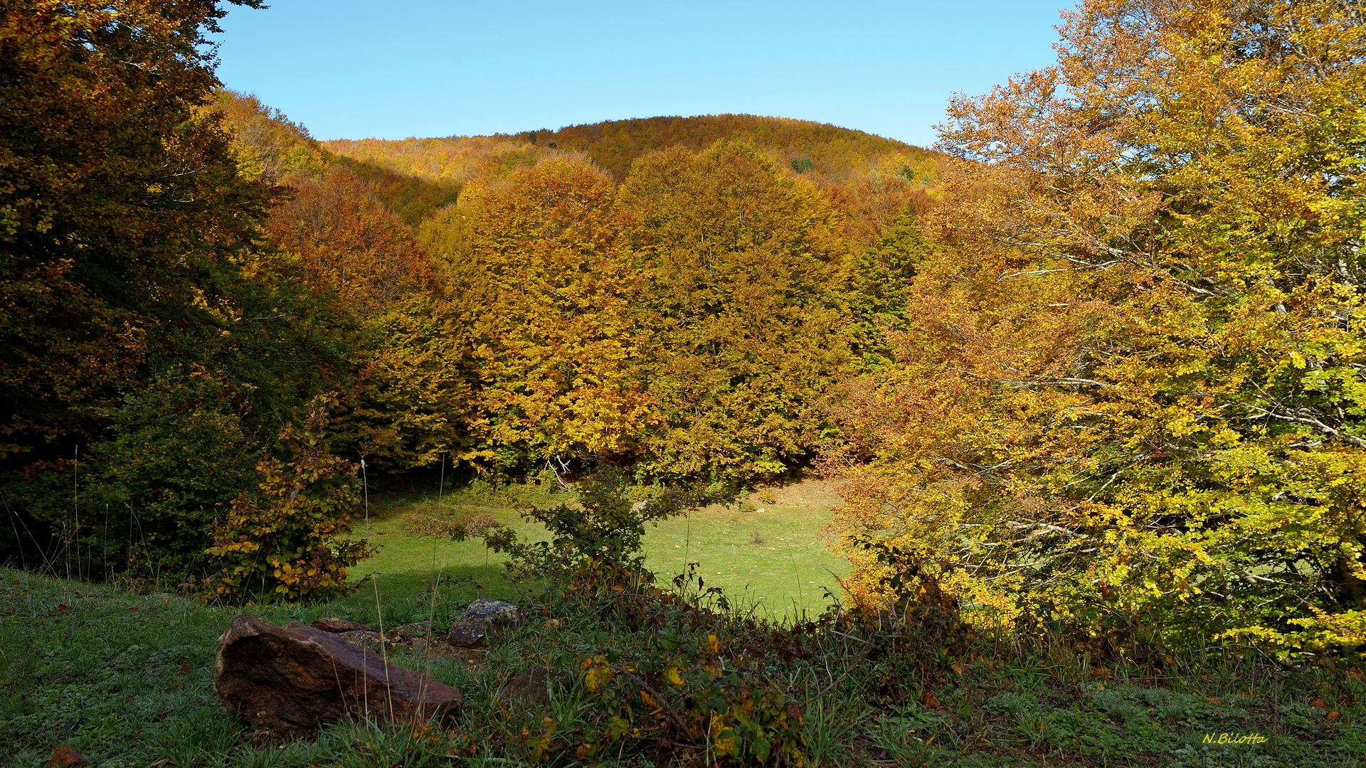 Autunno in Sila 2