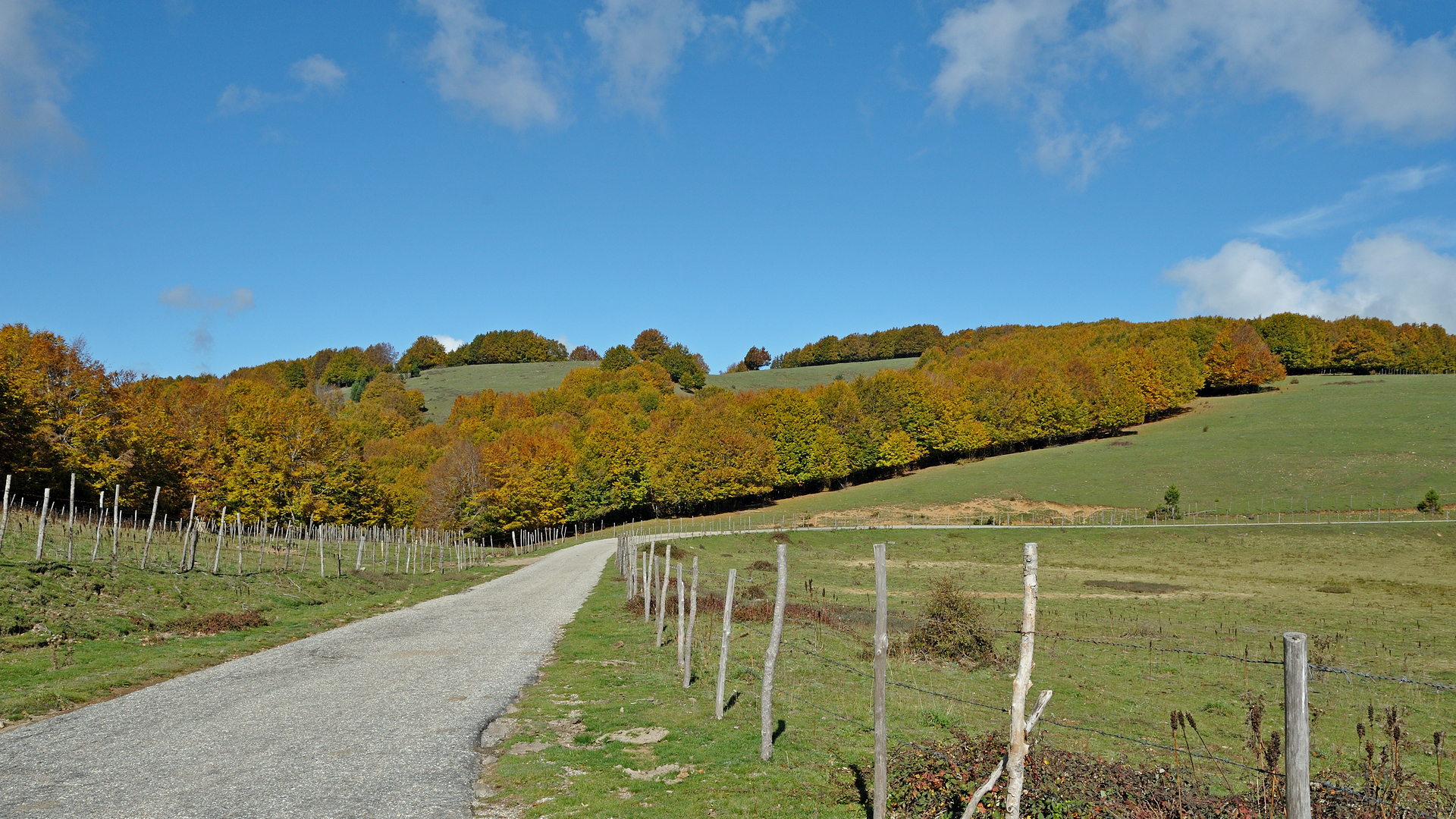 Autunno in Sila 3 - Per la strada delle vette