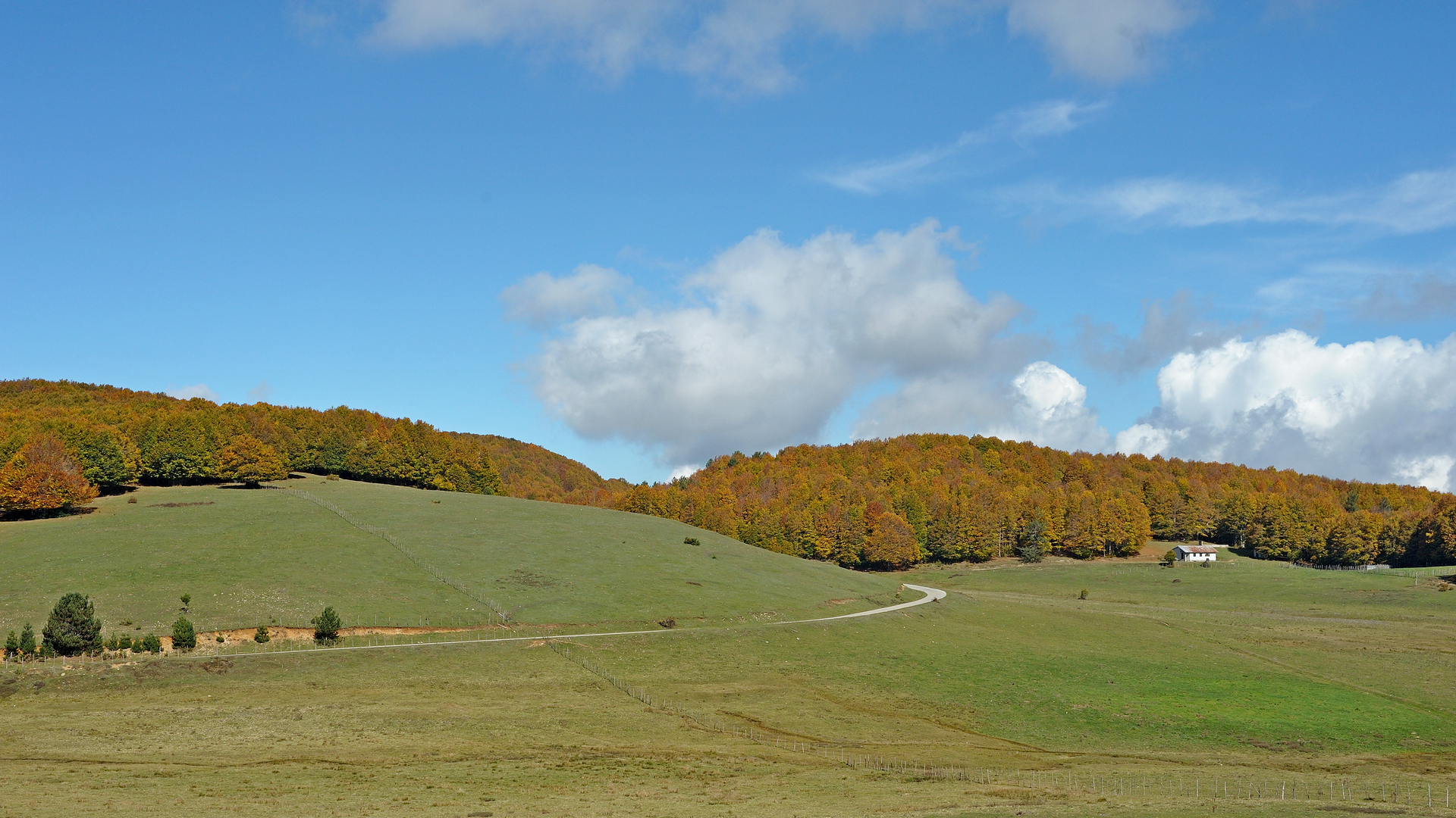 Autunno in Sila 4