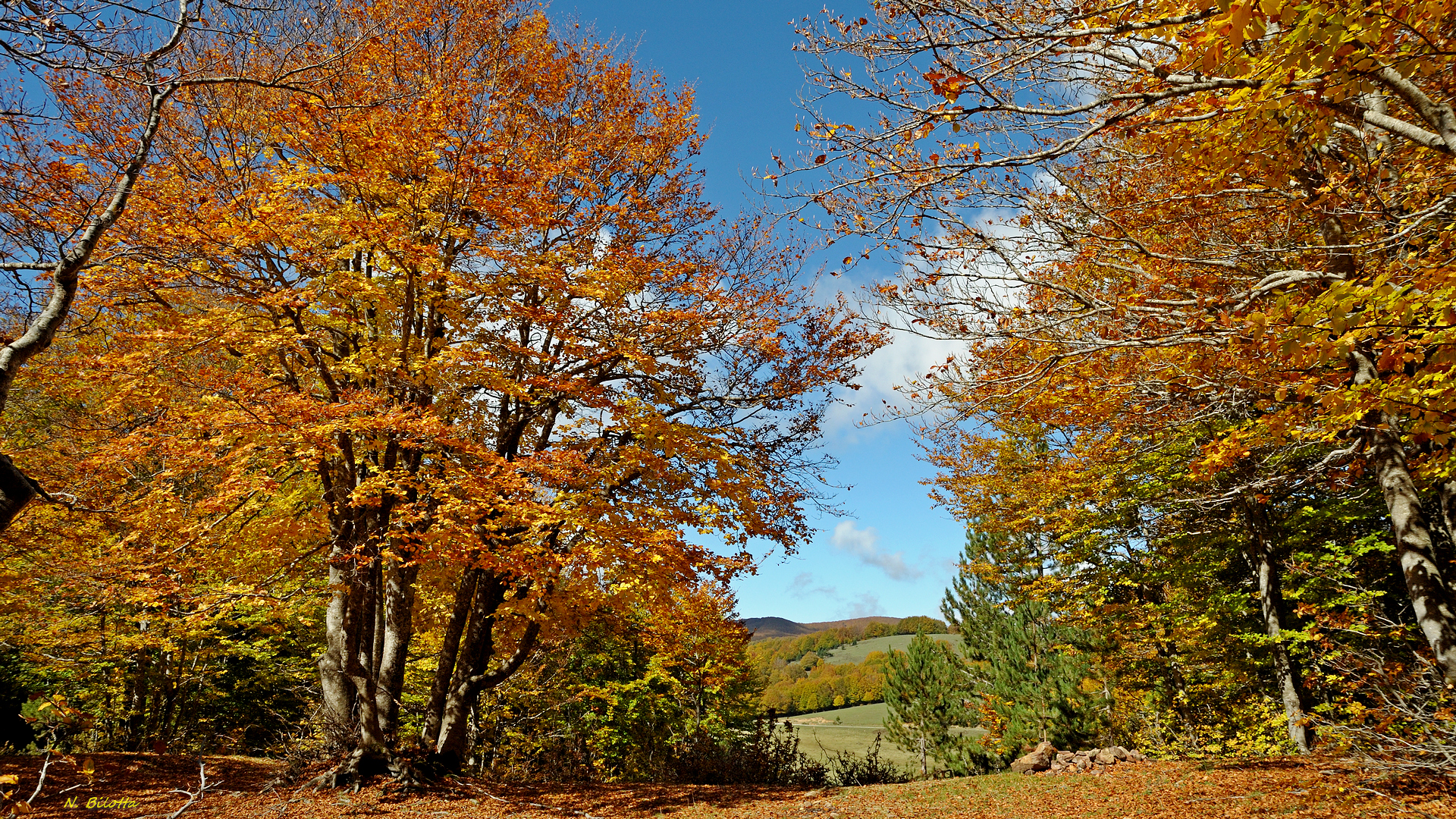 Autunno in Sila 5