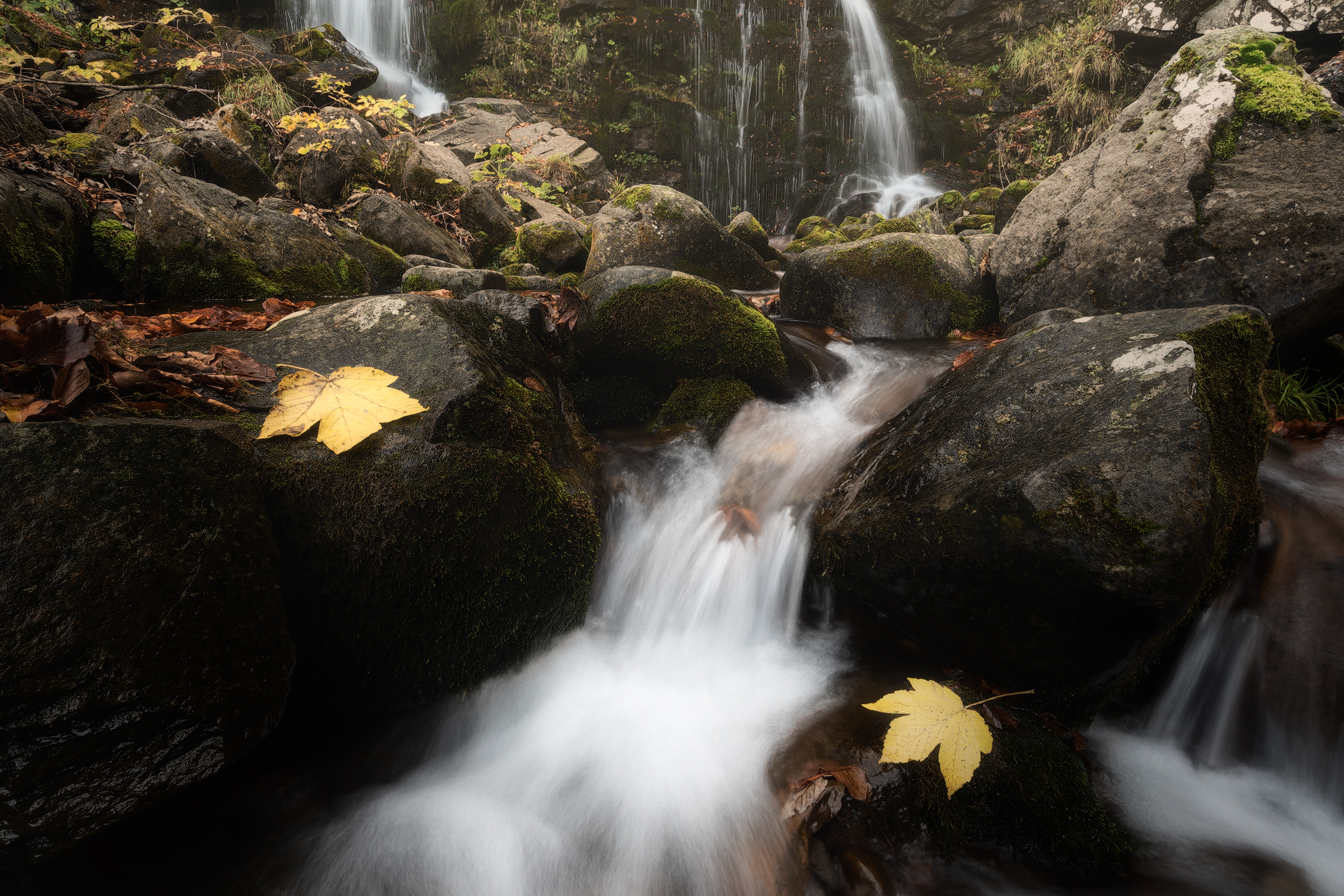 Cascate del Dardagna