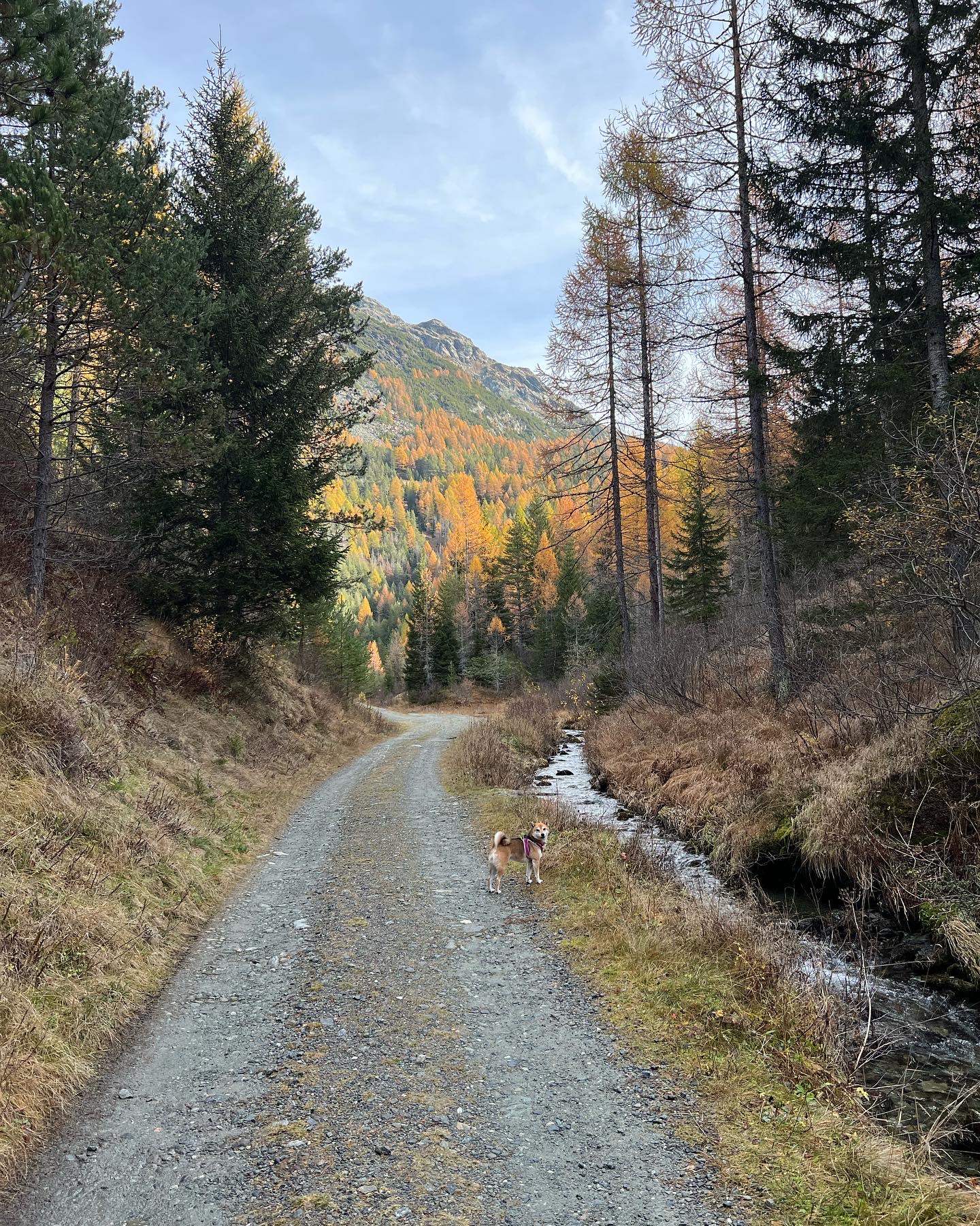 Autunno montano