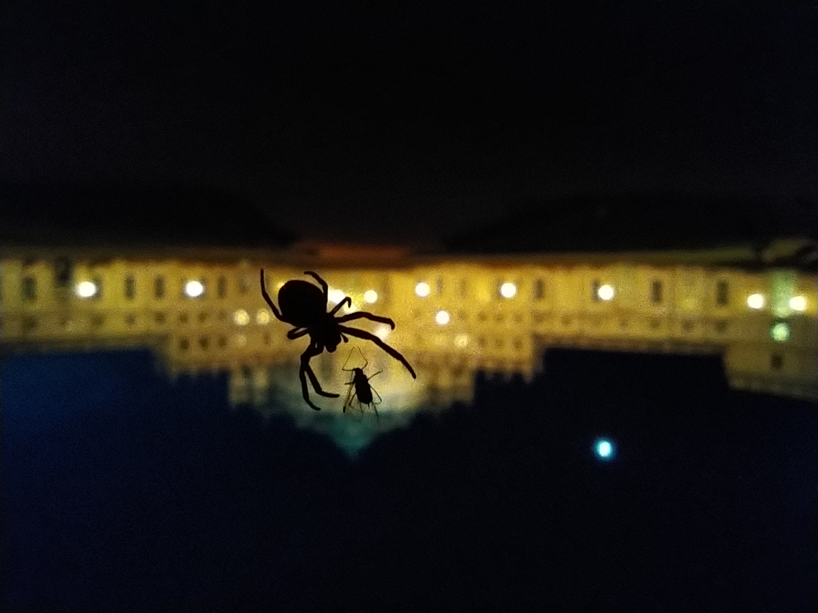 Halloween alla reggia