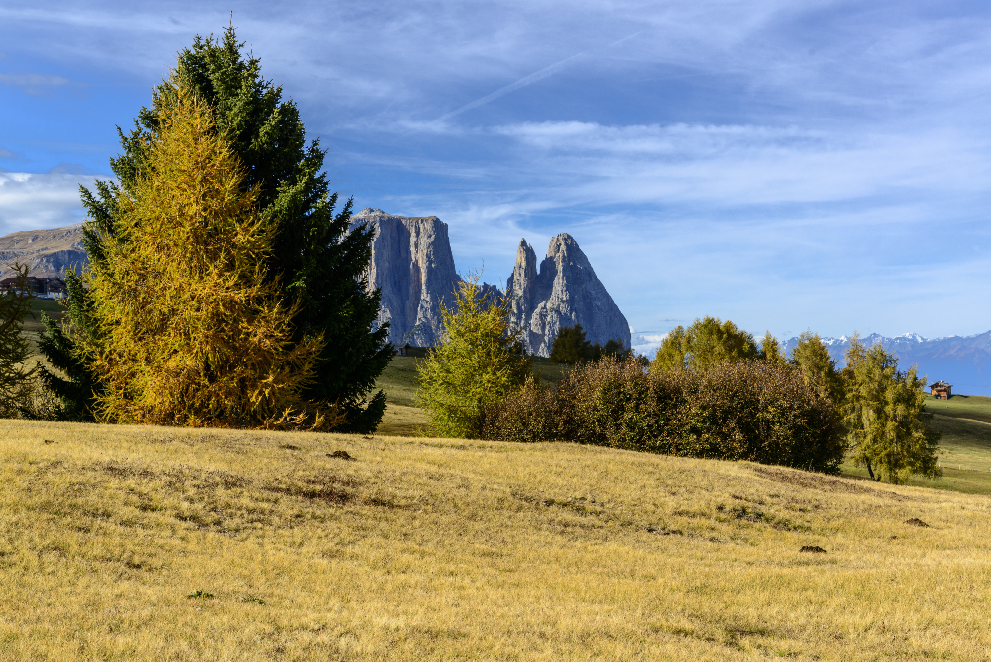 Alpe di Siusi