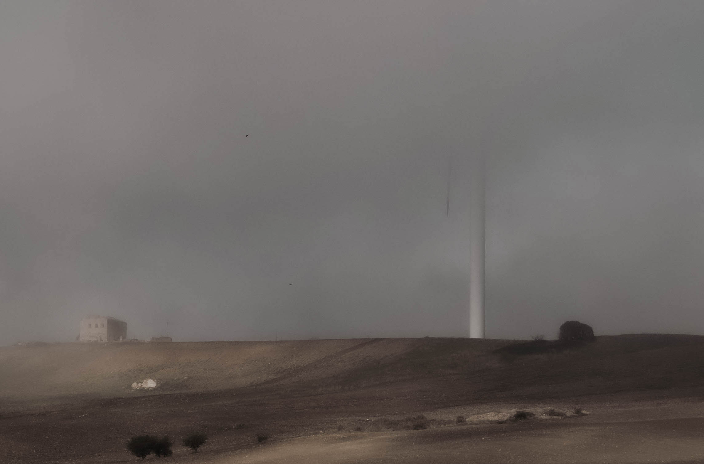 La nebbia avvolge tutto