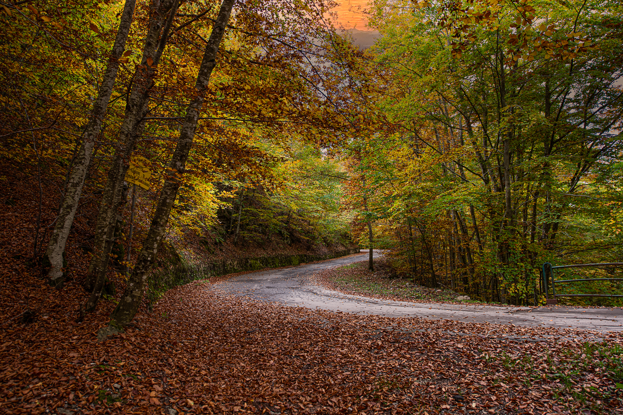 Foliage towards the Orecchietta park