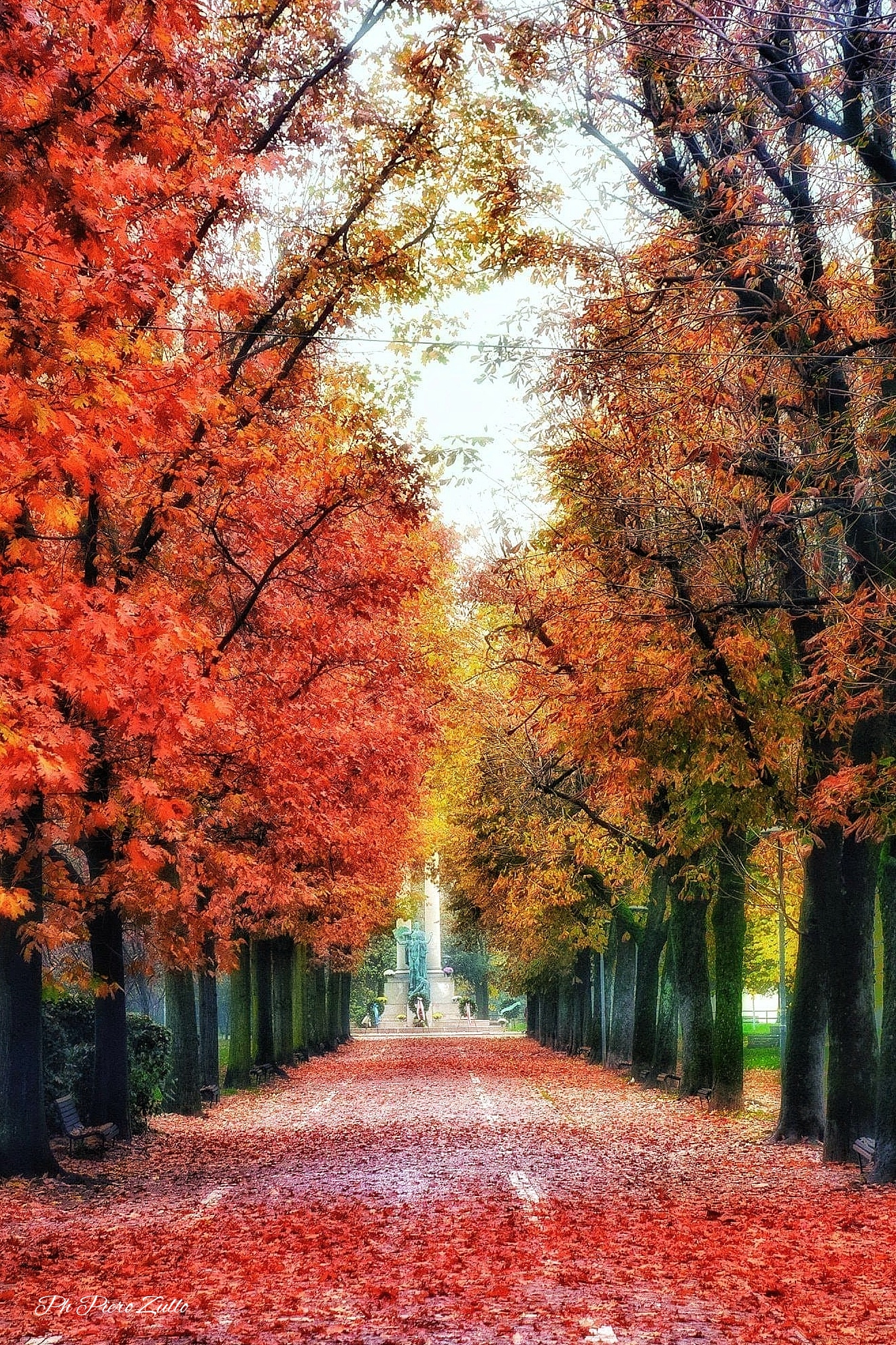 Along the tree-lined avenues