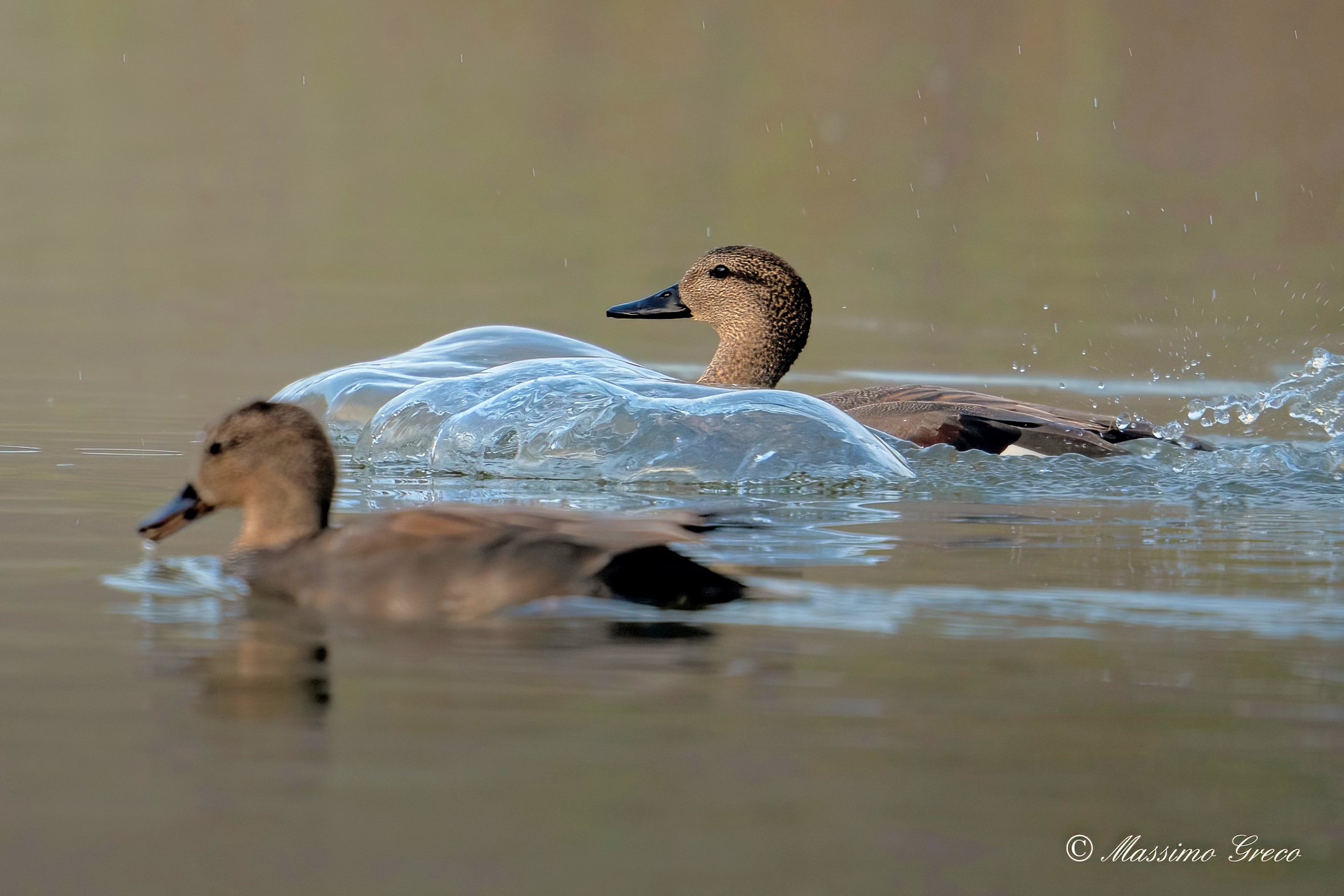 Un magico ammaraggio