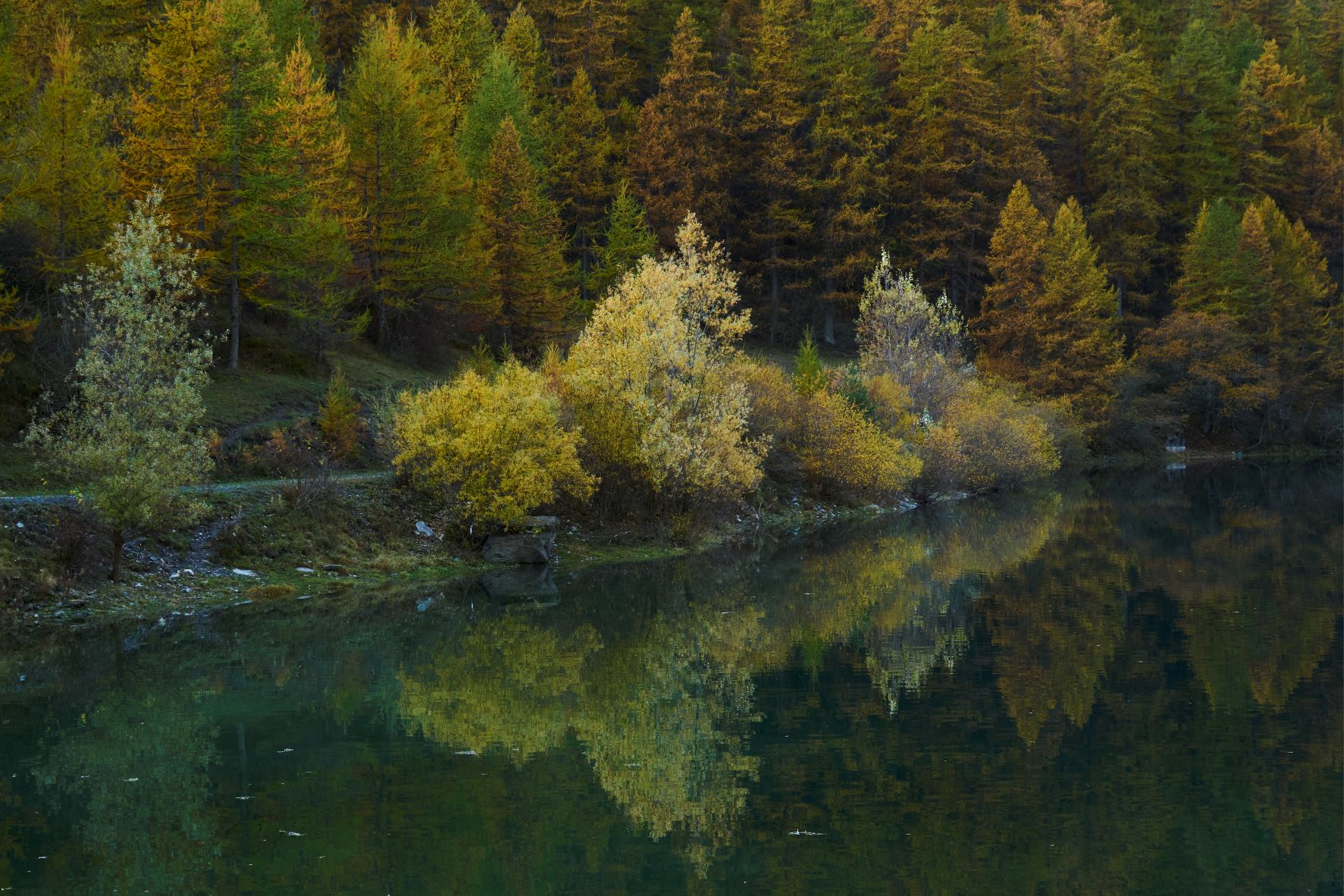 Riflessi sul lago