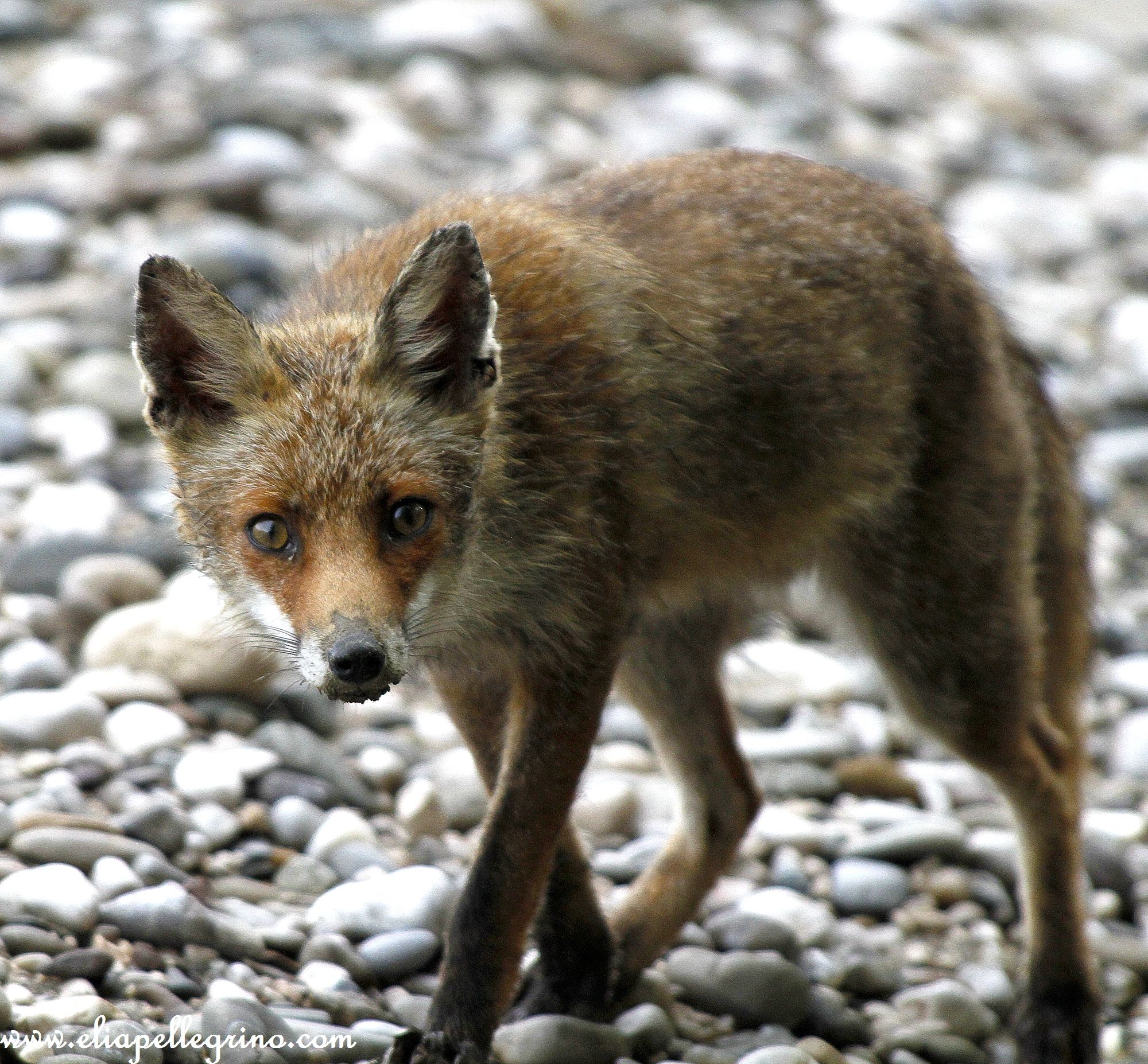 I saw you and you too