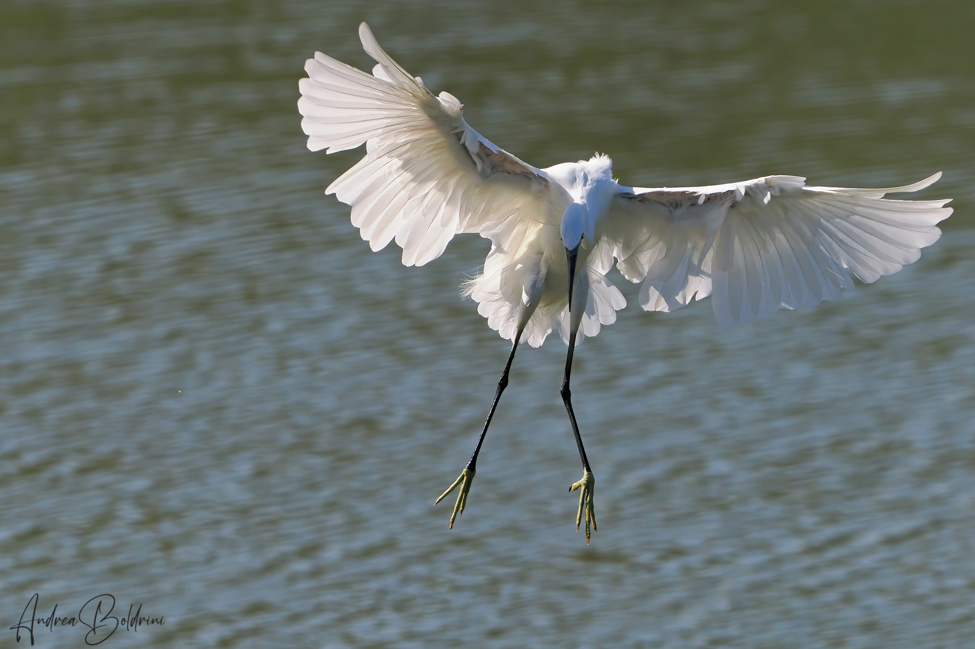 Let's see where I land...