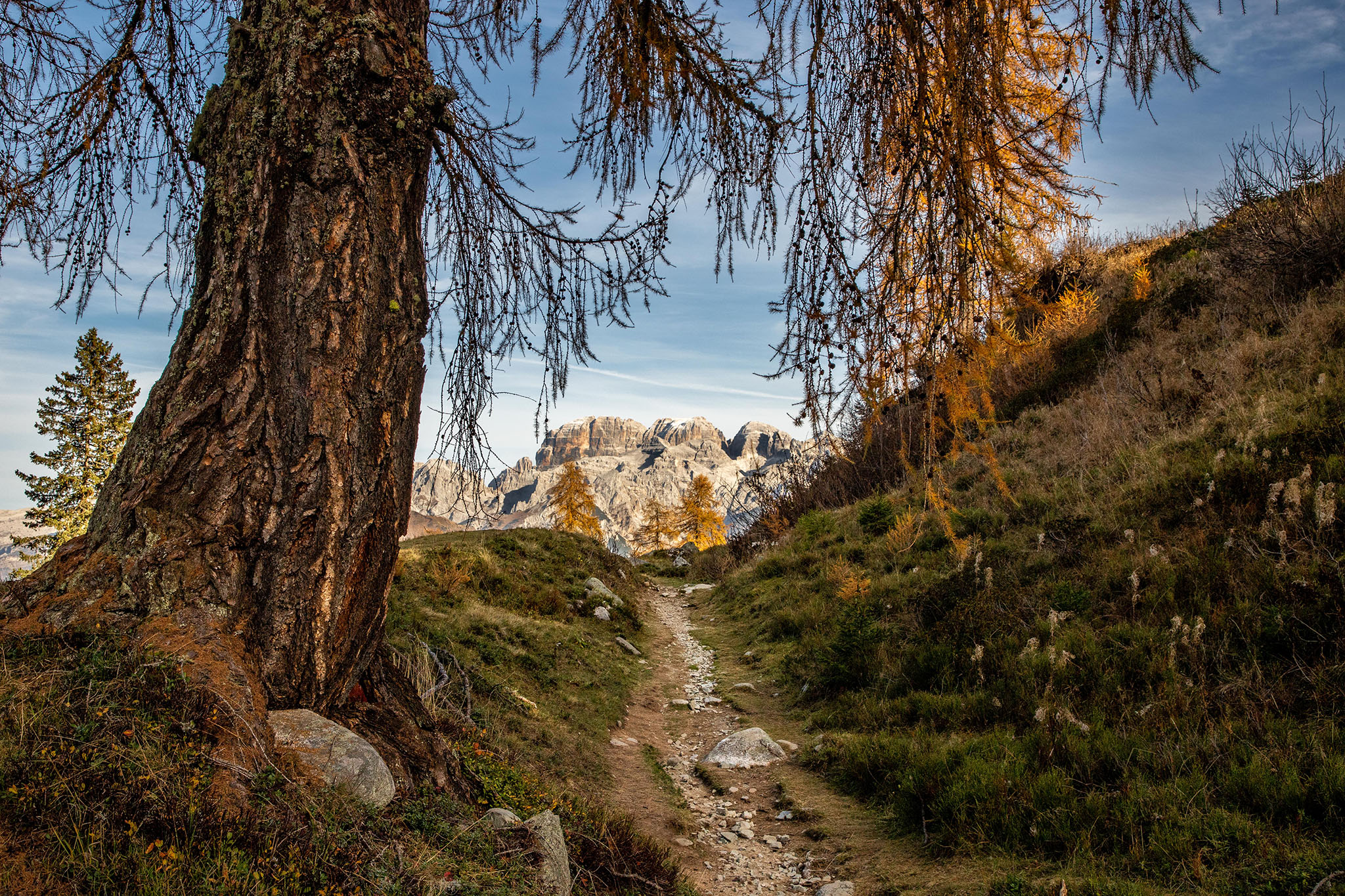 Destinazione Paradiso!