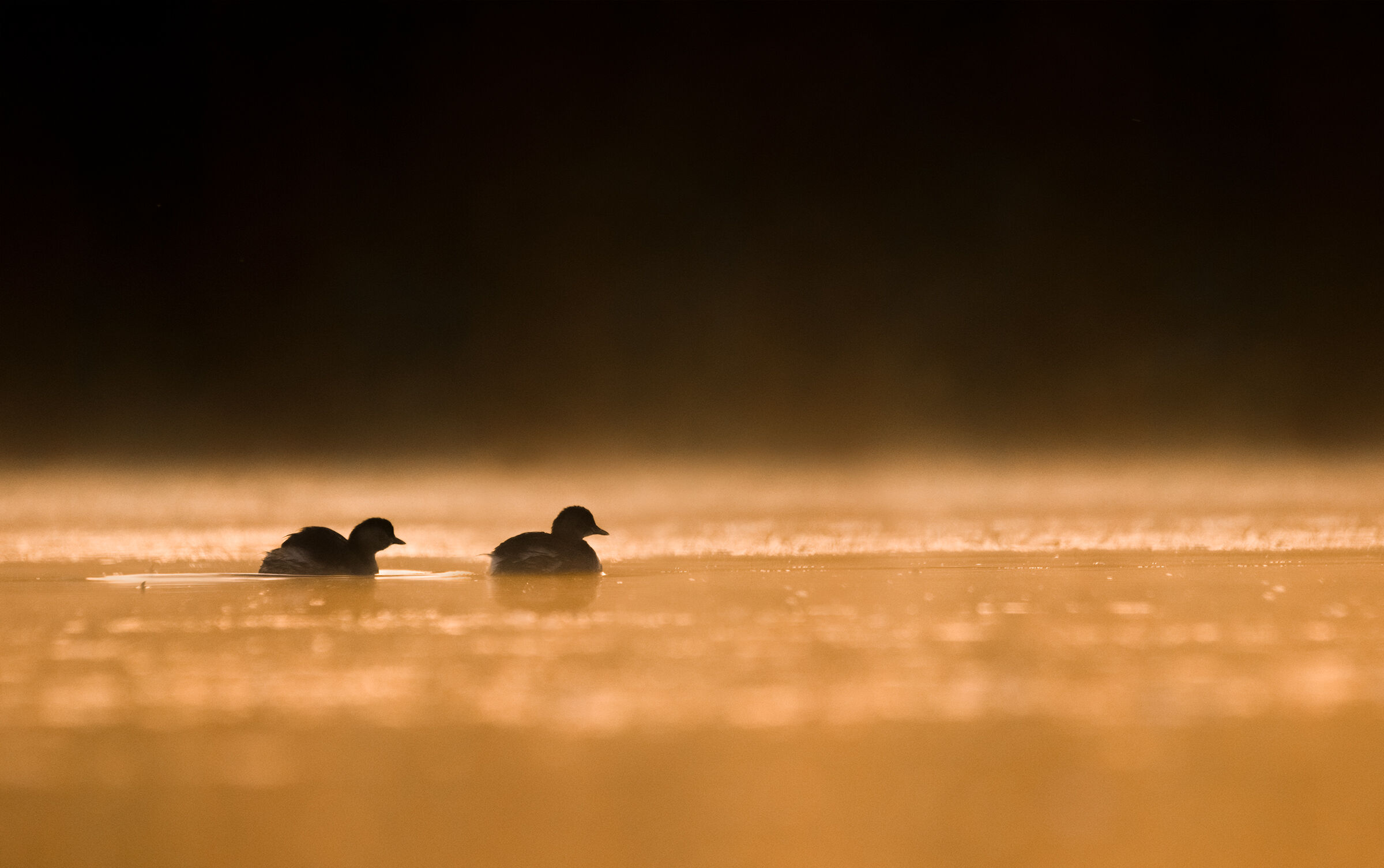 Dippers