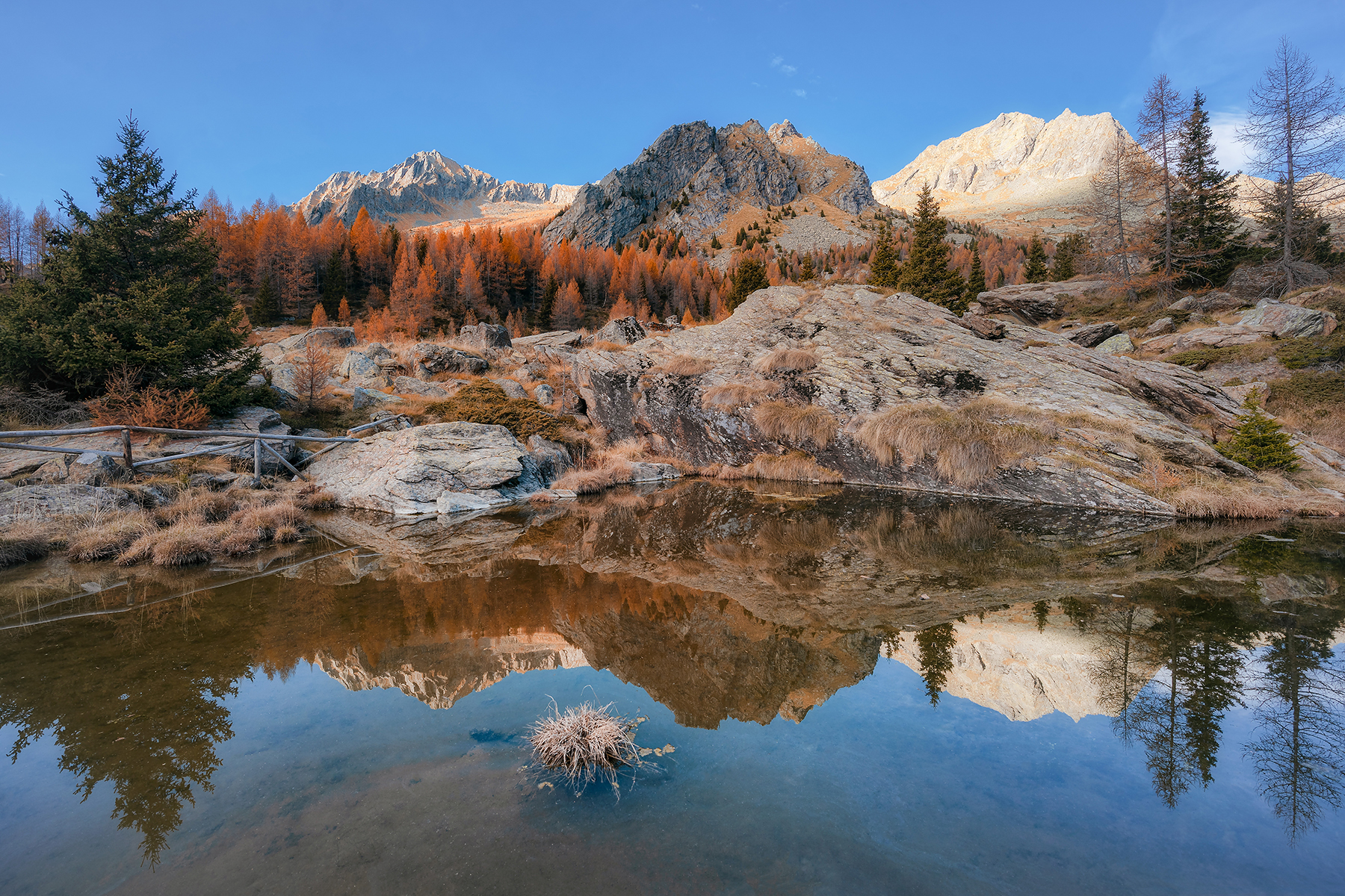 Predarossa is mirrored