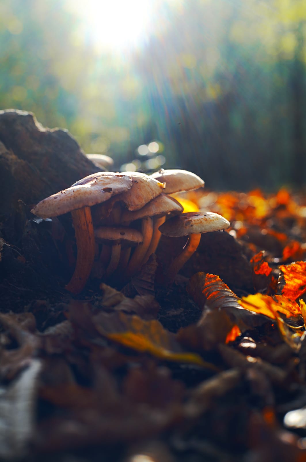 Untitled Photo
