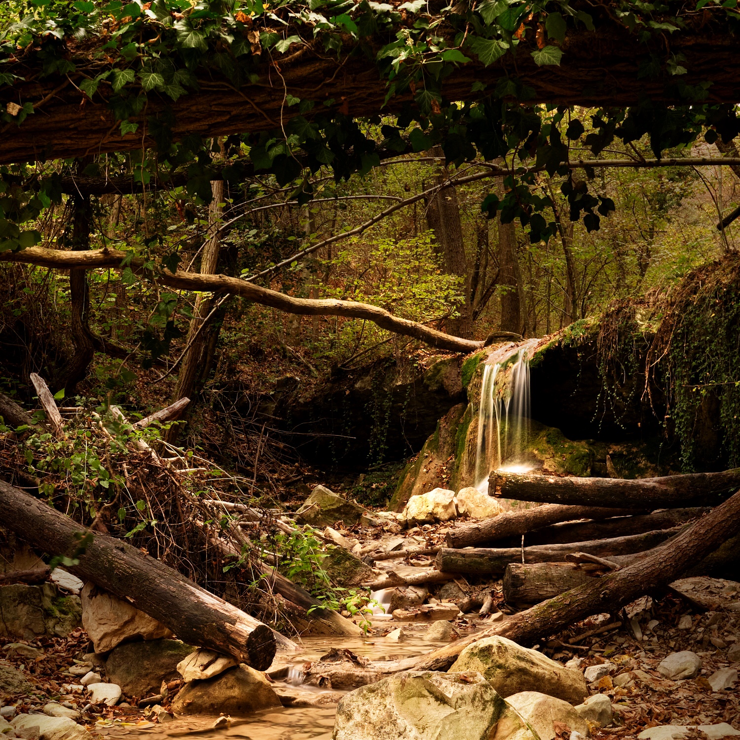 The bucamante waterfalls