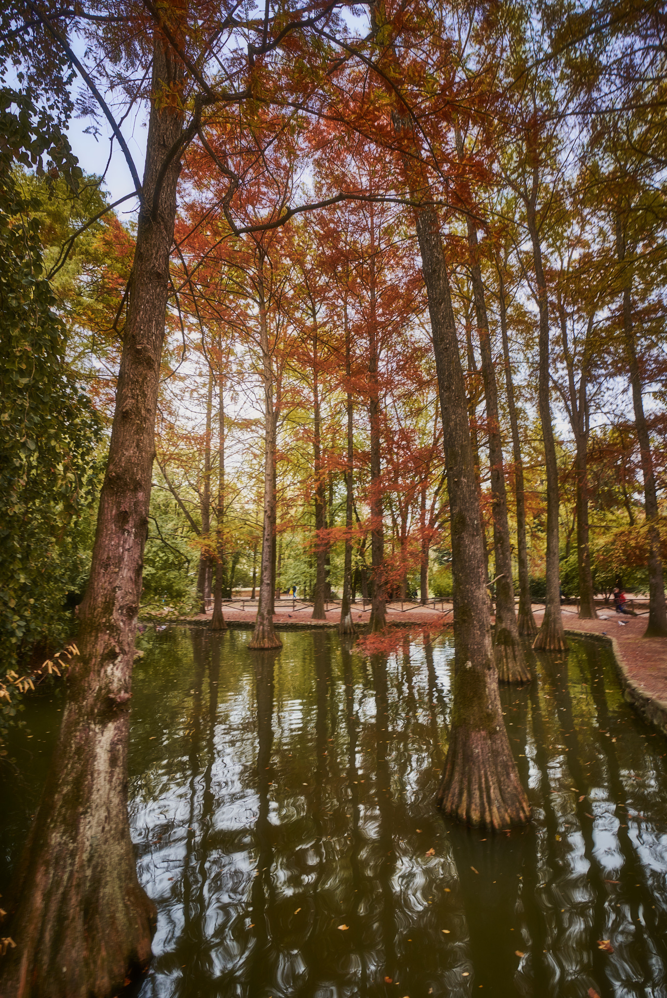 The park