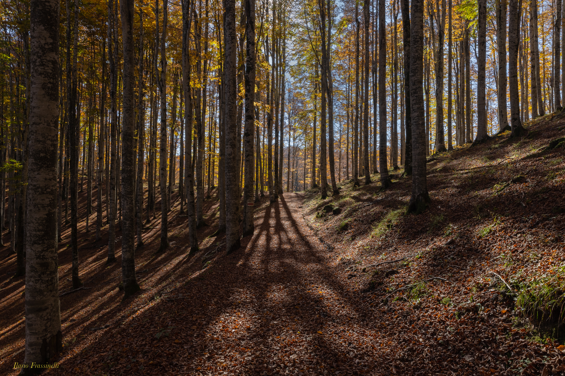 I colori dell'autunno
