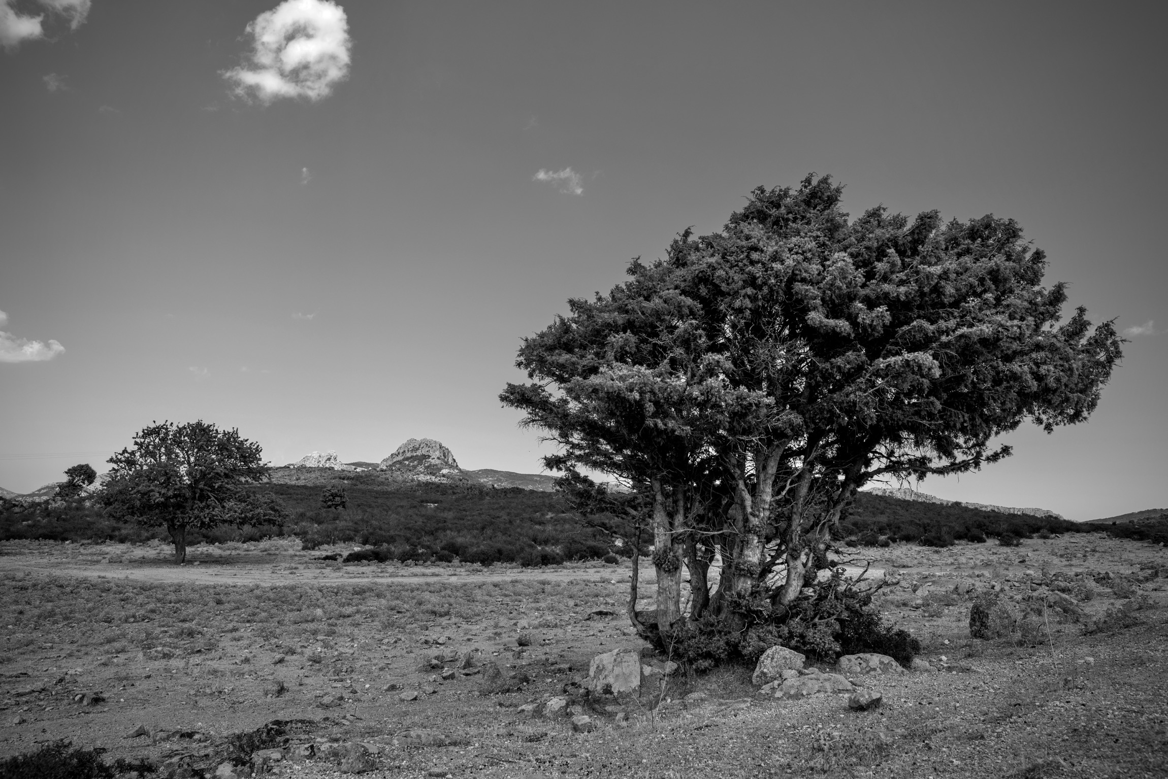 Alone in nothingness