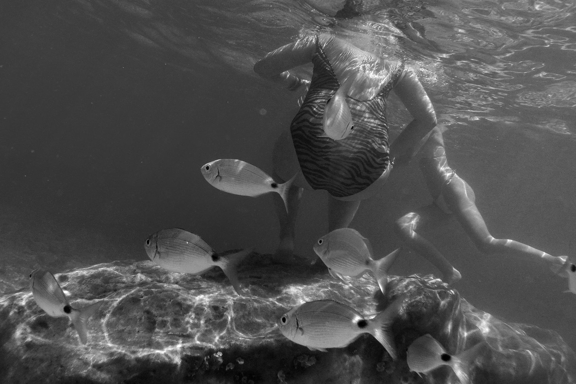 Untitled Photo