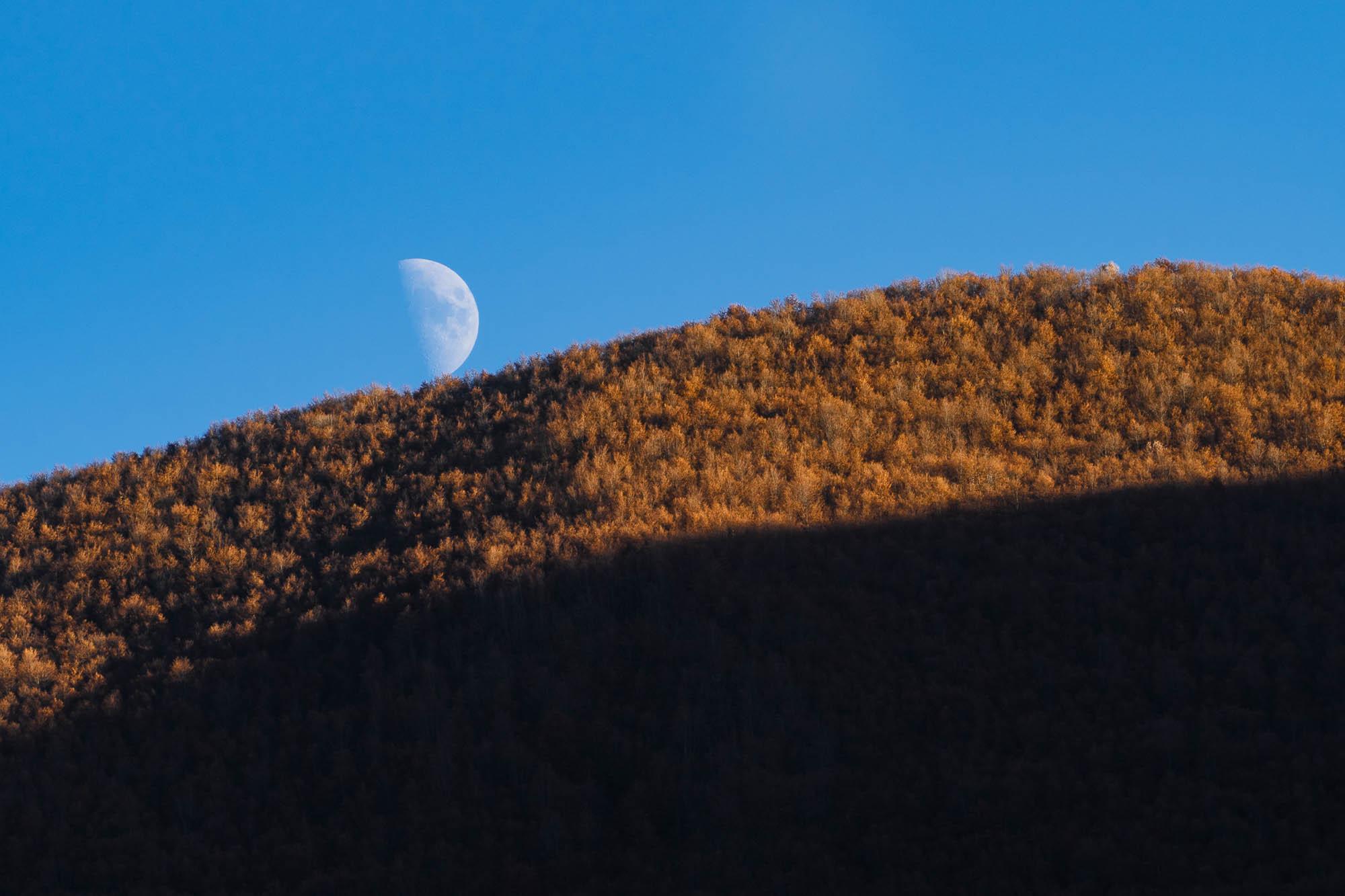 From Prato di Campoli