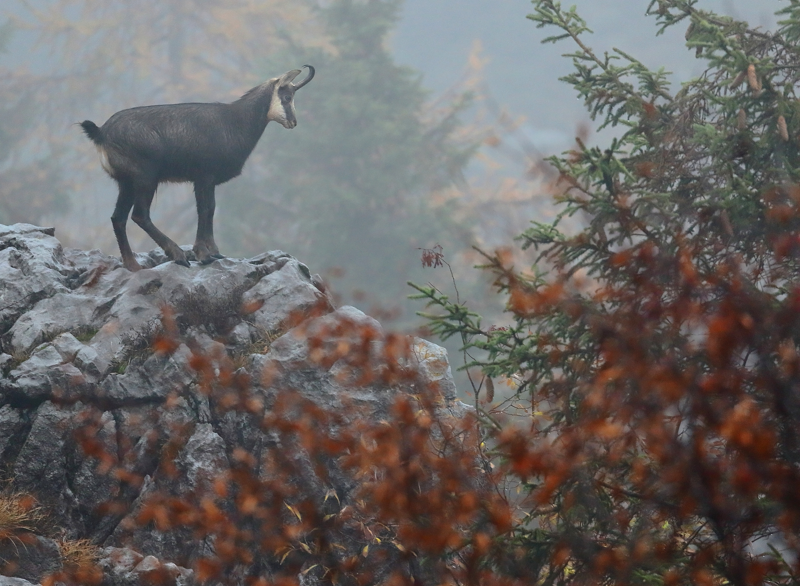 Mattinata piovosa...