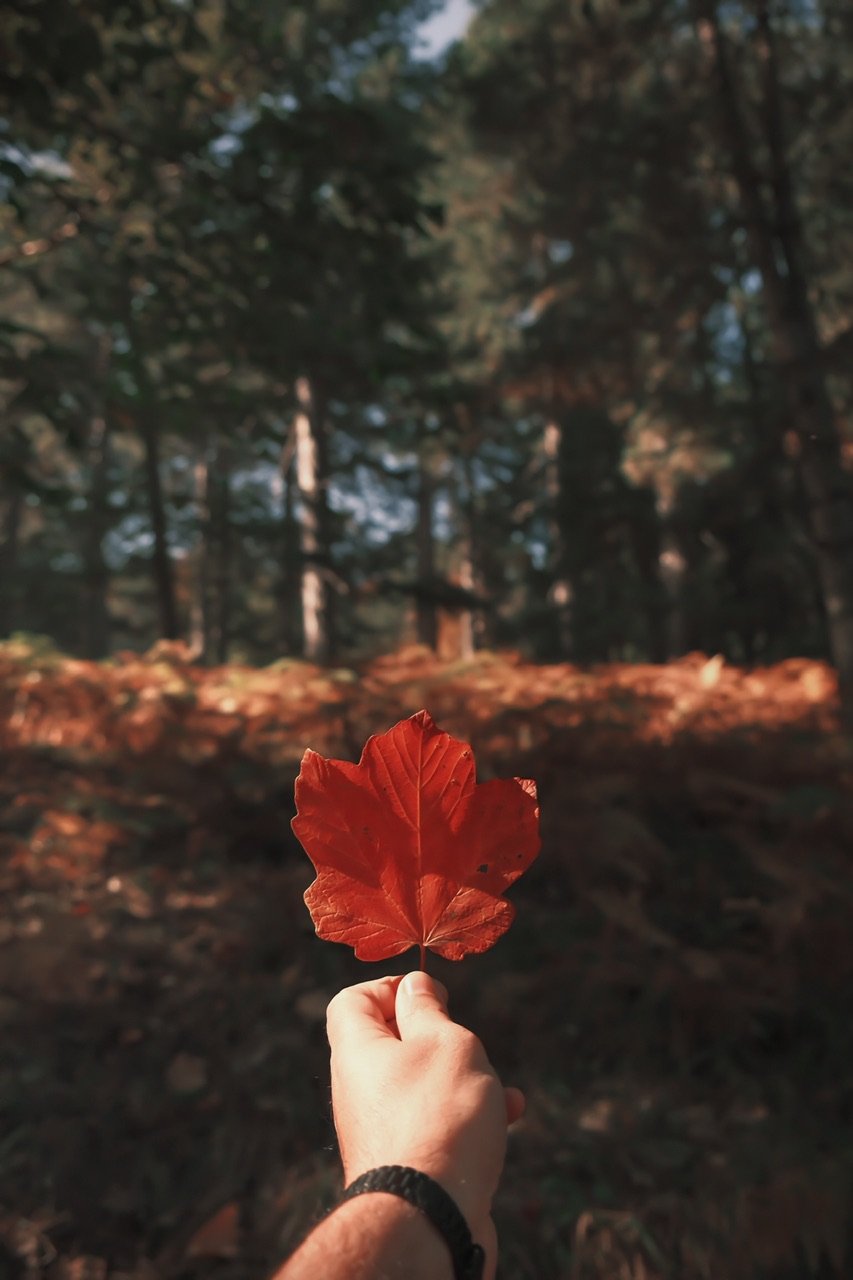 Autunno 2022