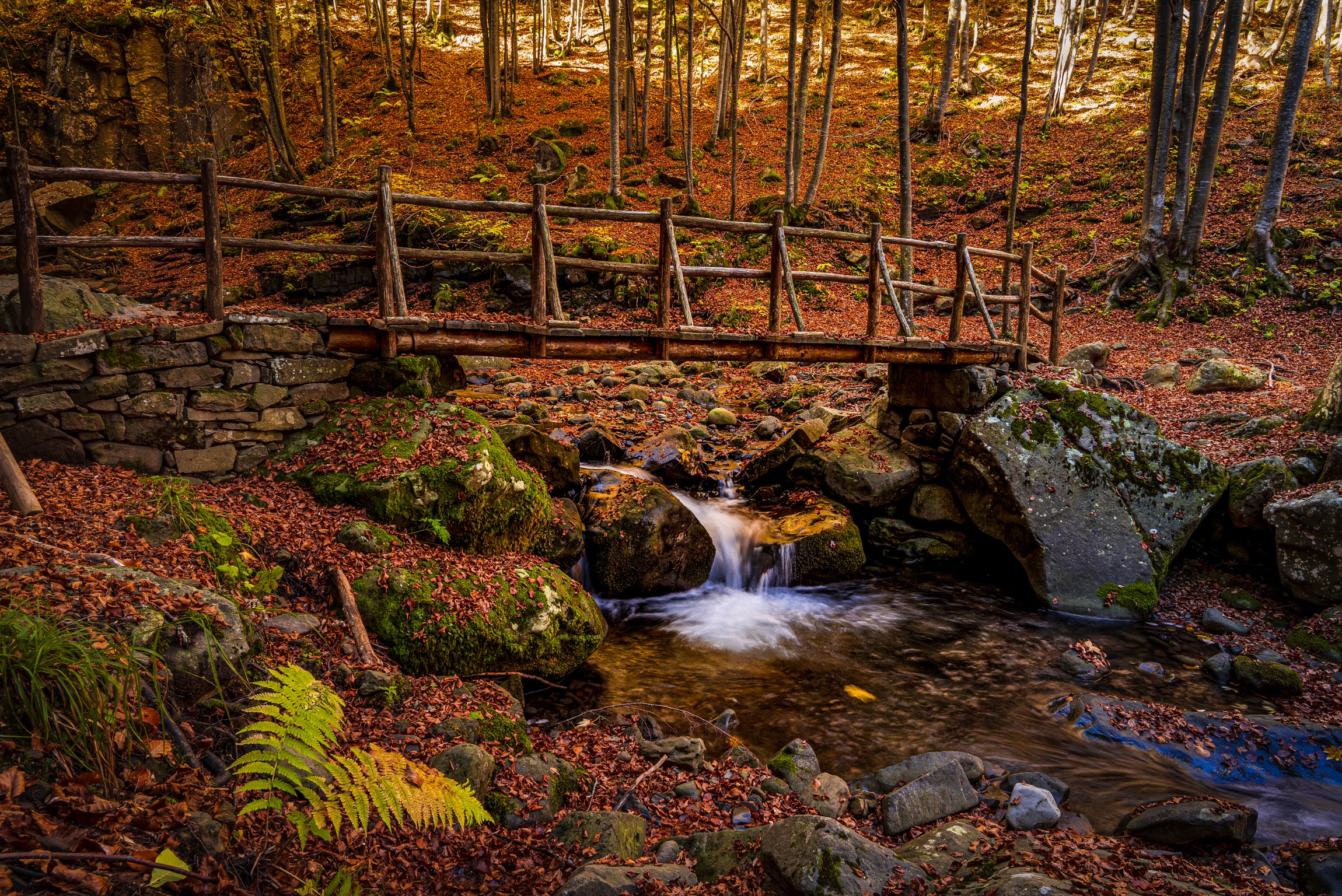 Autumn at the Dardagna Falls
