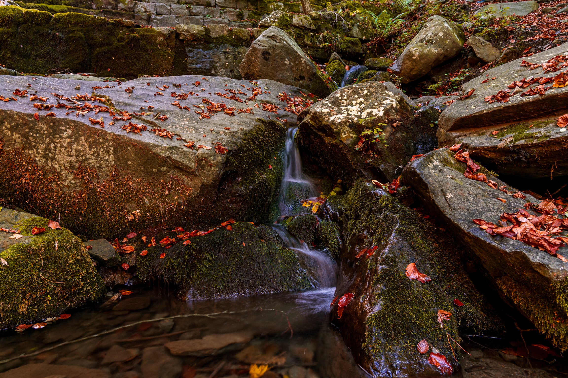 Autumn waterfalls