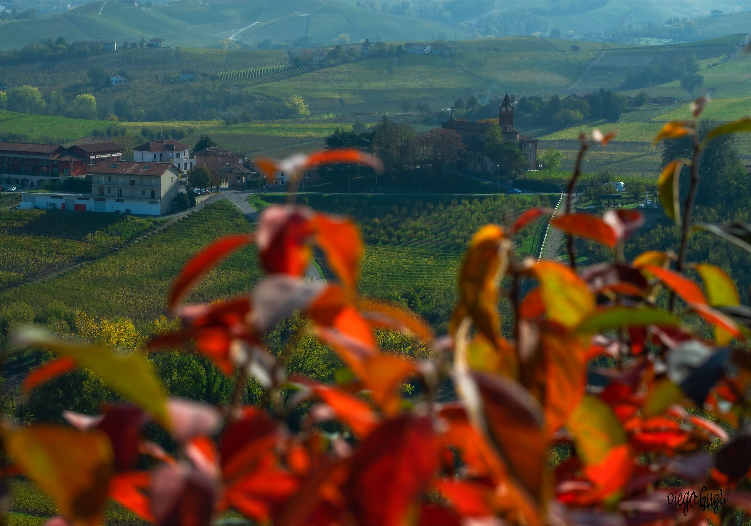 Barolo Trails 2