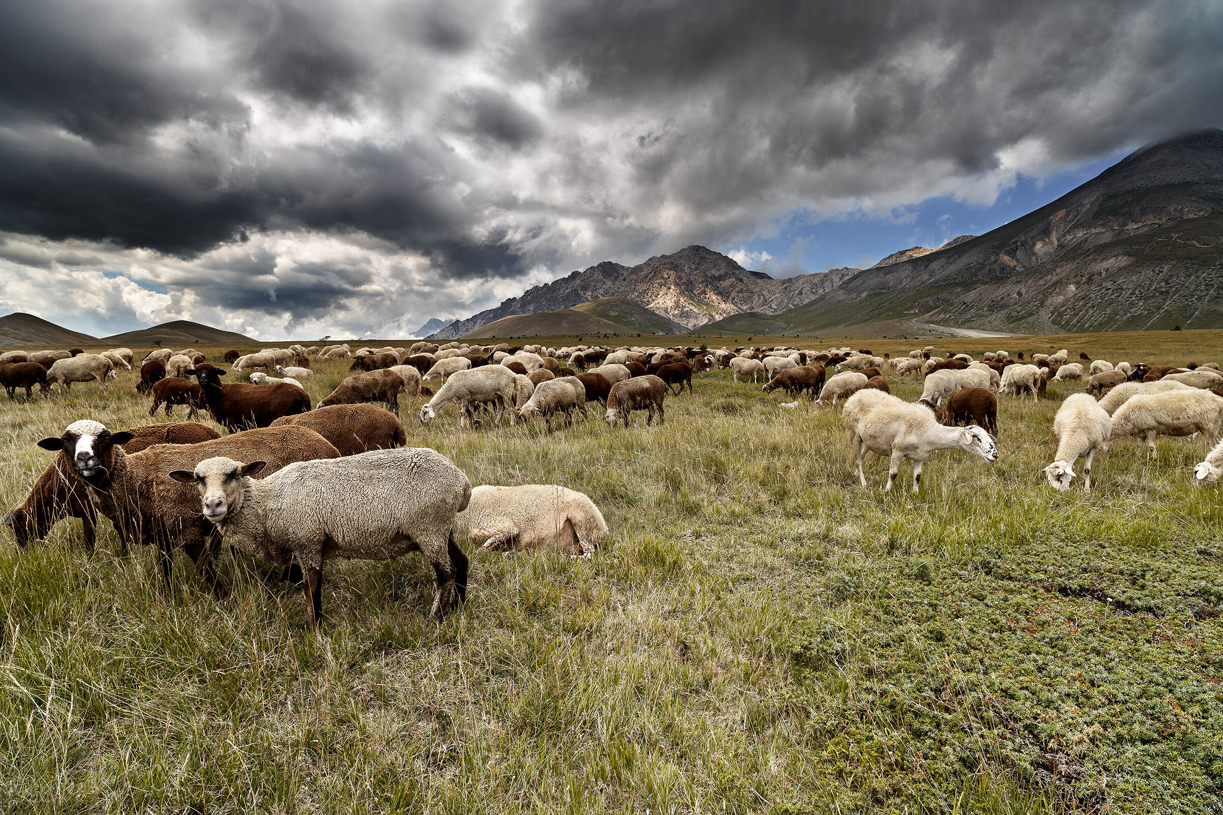 Campo Imperatore