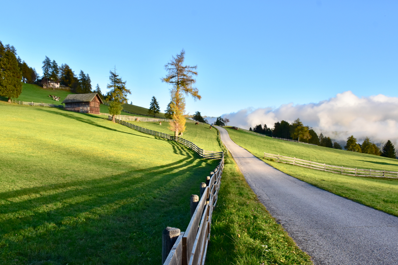 Verano sul Monte Zoccolo dopo una lavata