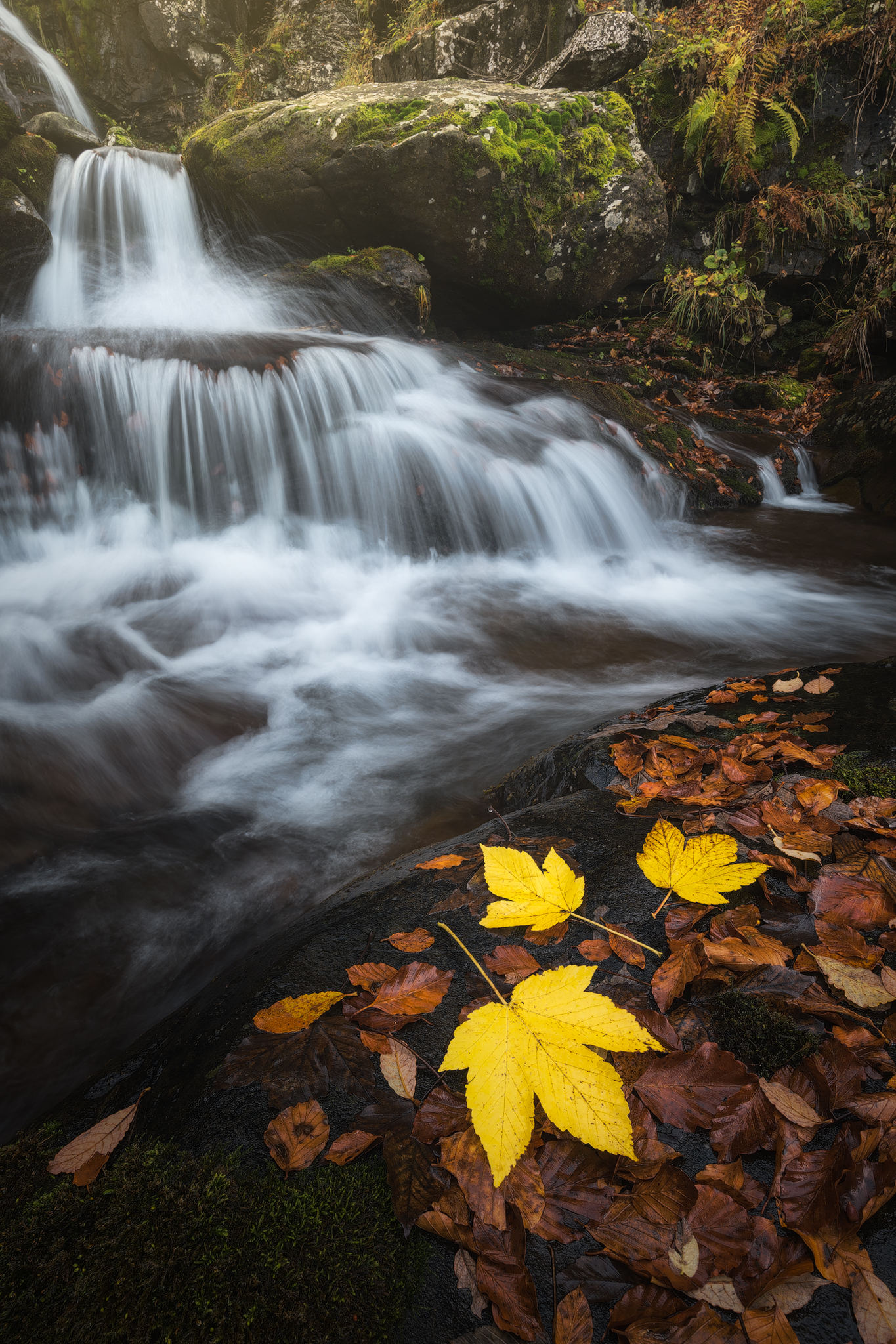 Cascate del Dardagna