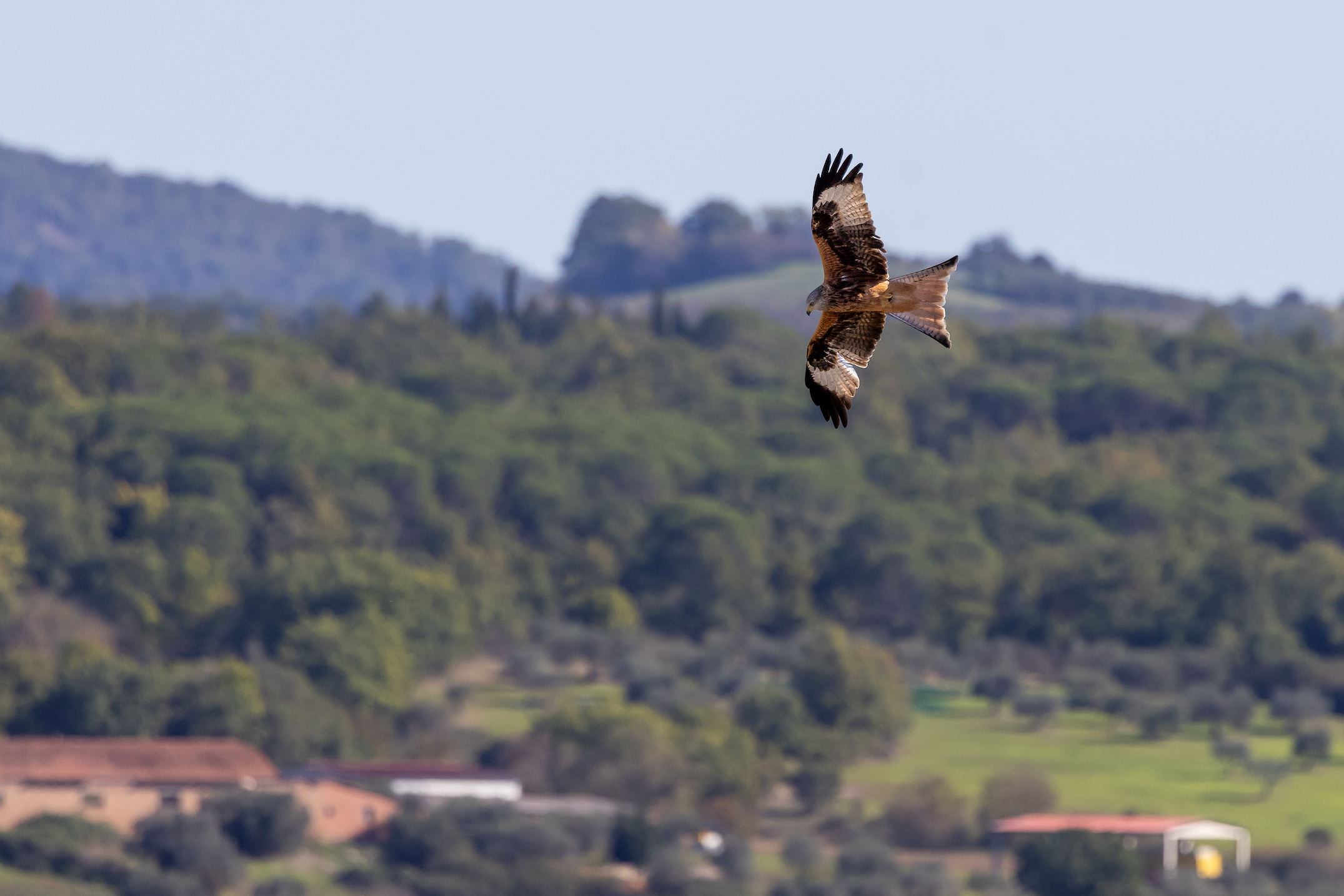 Flying over the Val d'Orcia