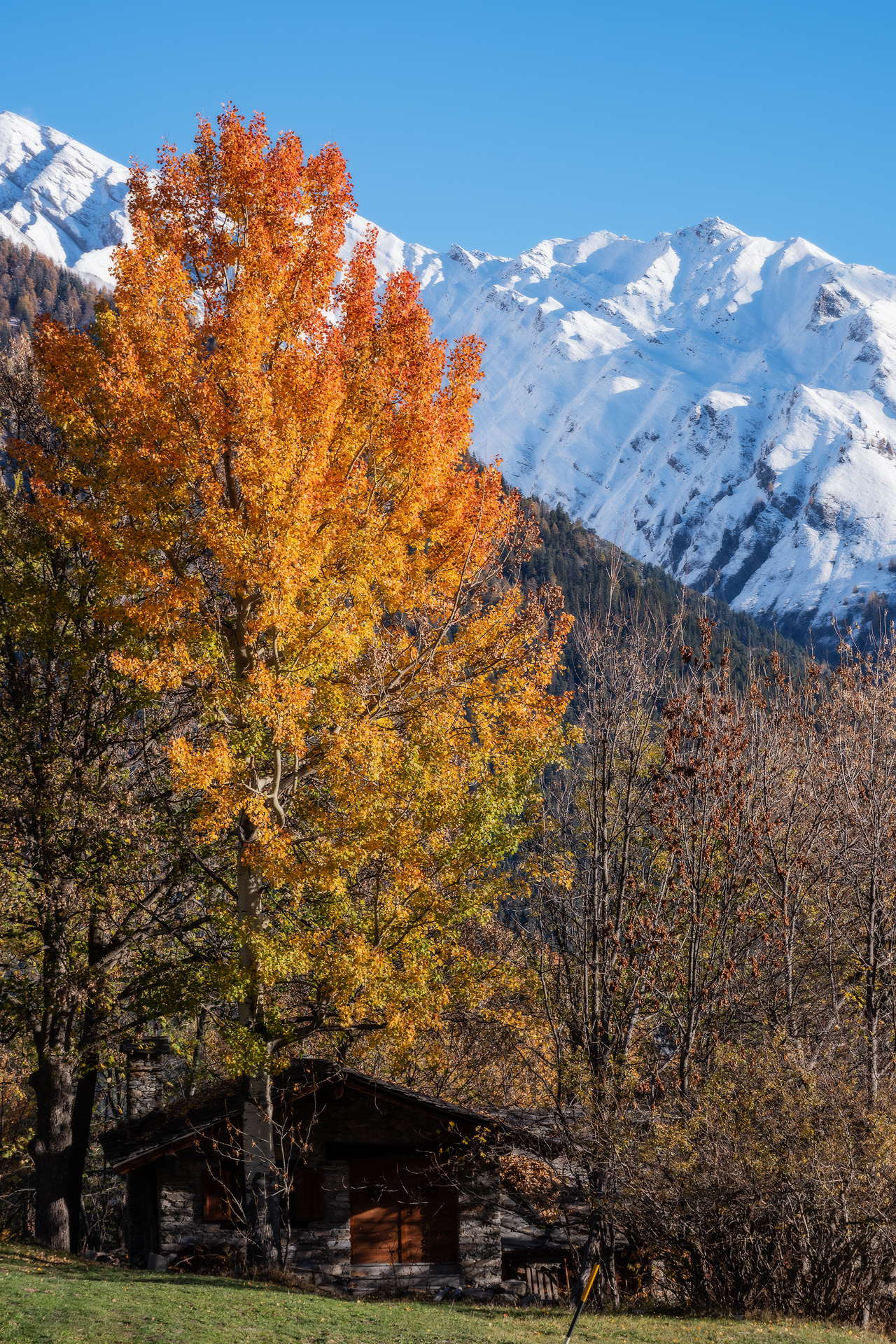 L'avvicendarsi delle stagioni