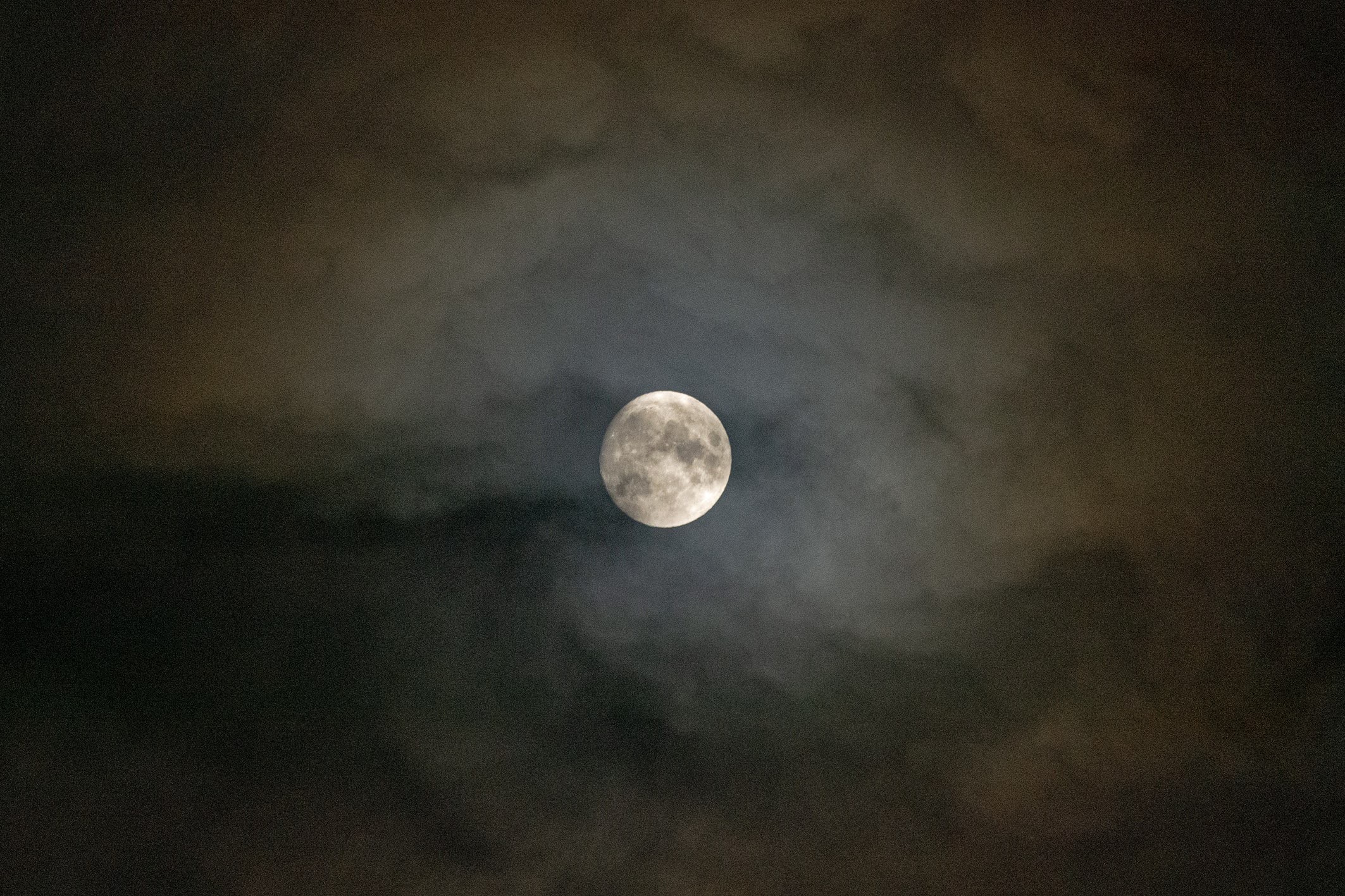 Fady Moon