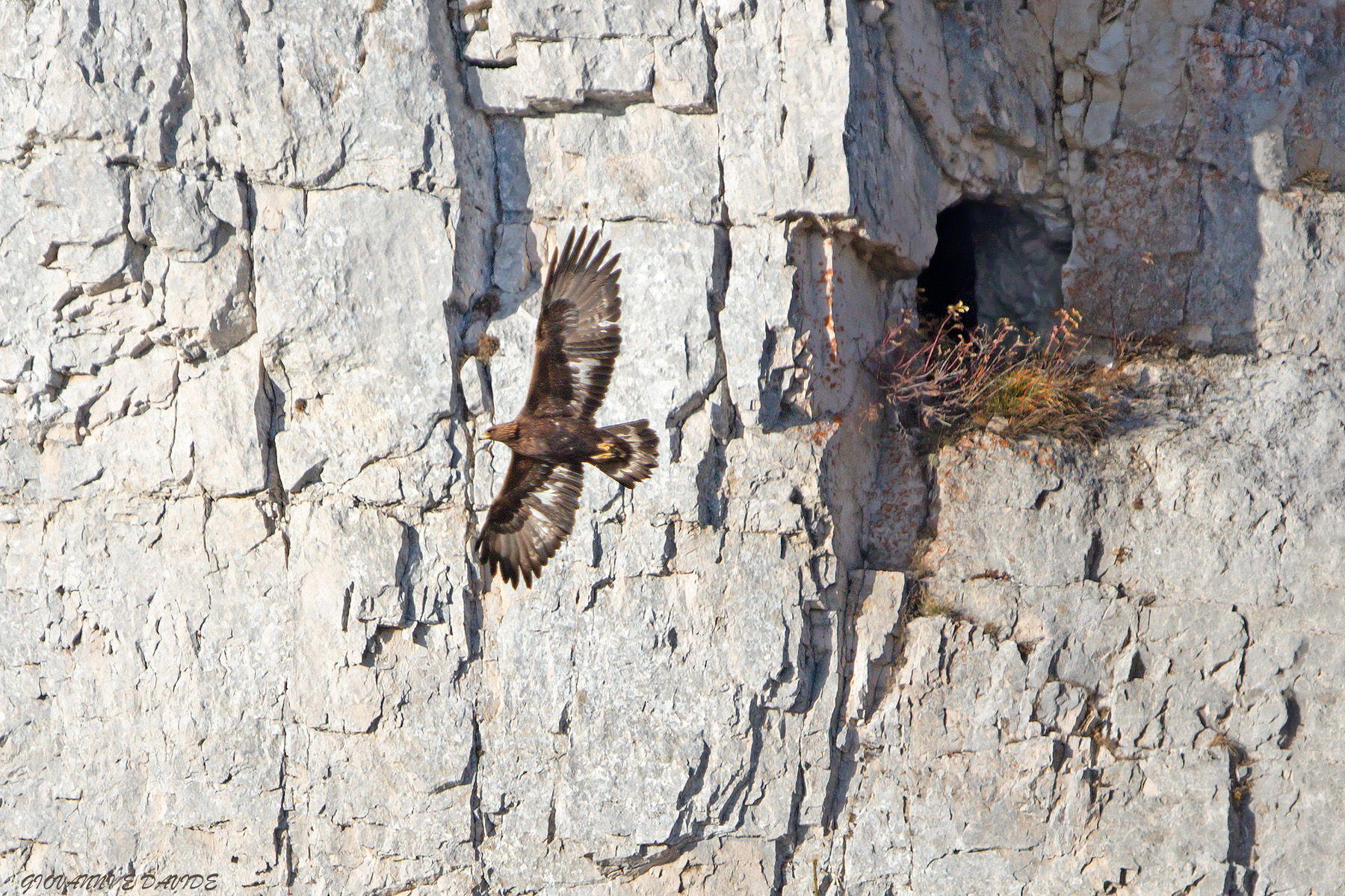 ... Among indelible scars ...