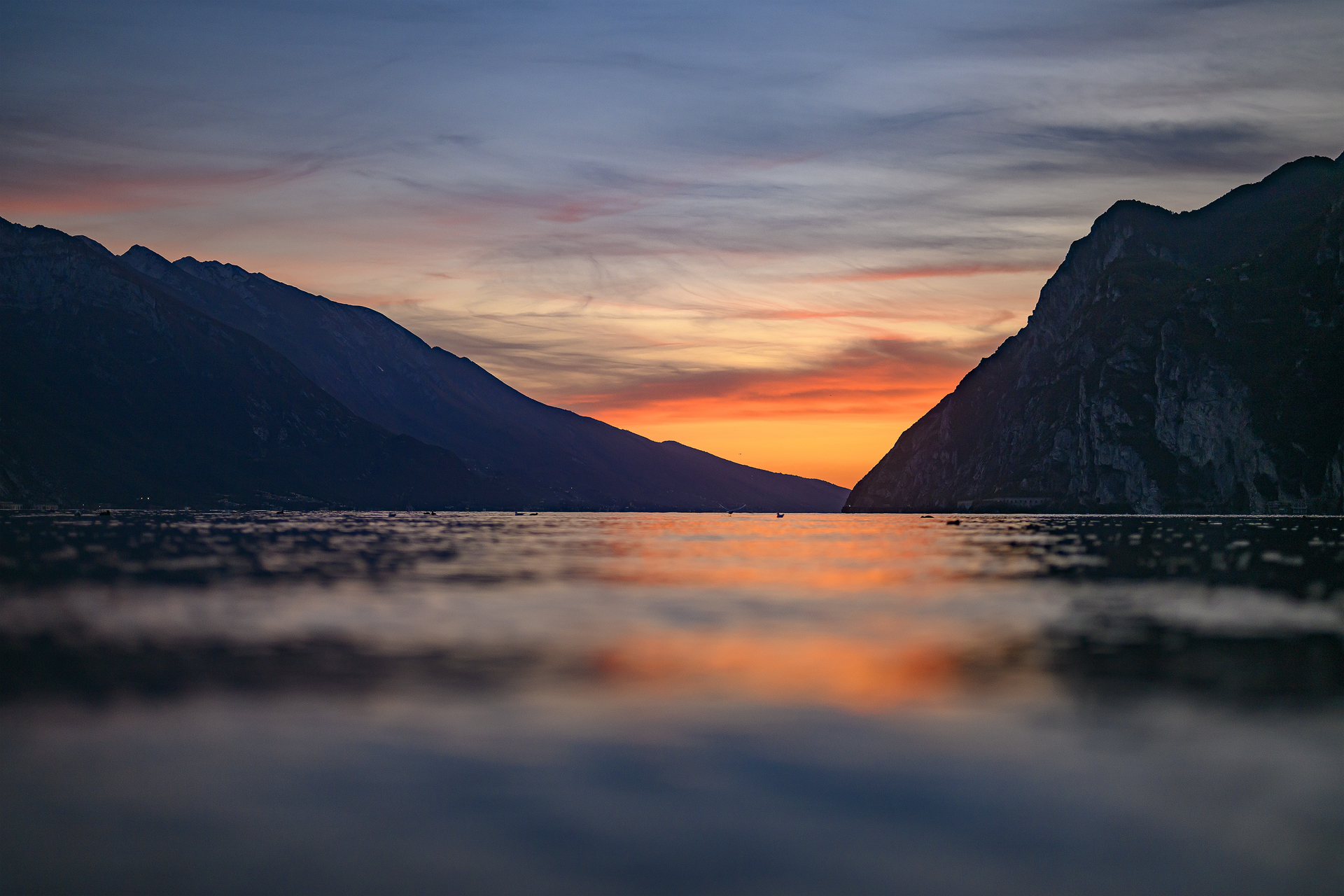 The lights of the evening