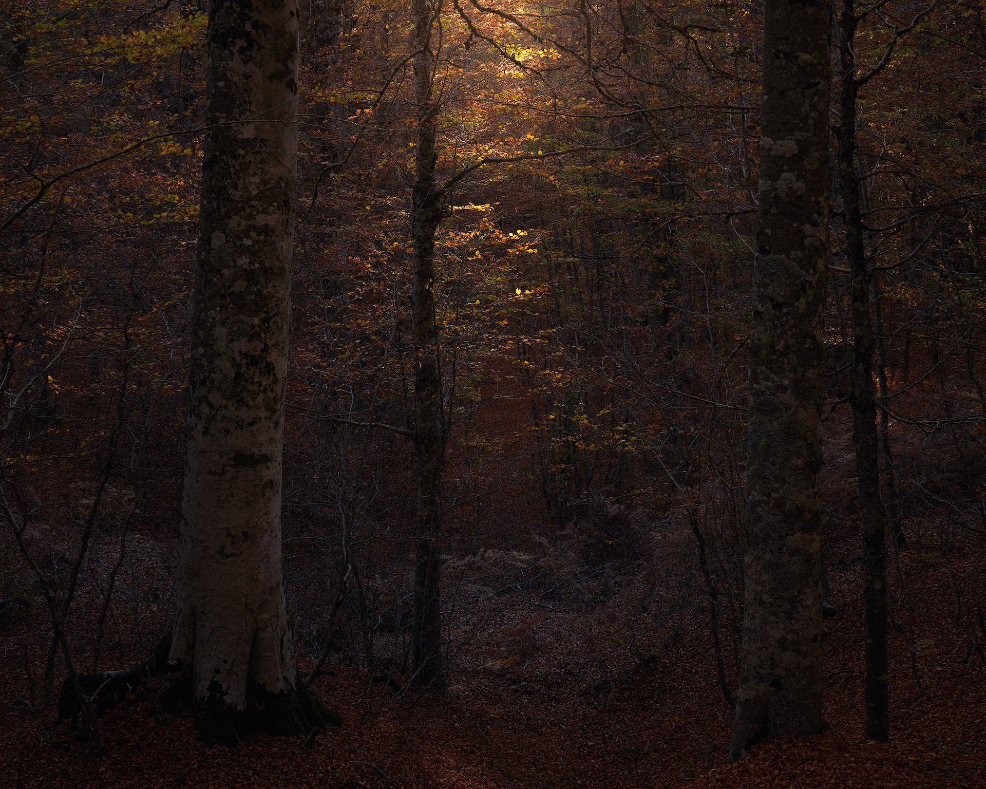 Light in the darkness